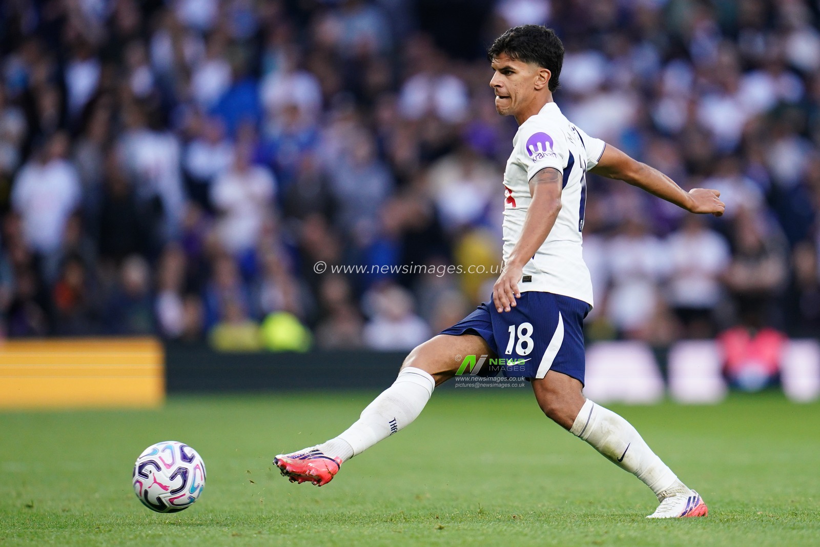 Premier League: Tottenham Hotspur v Newcastle Untied