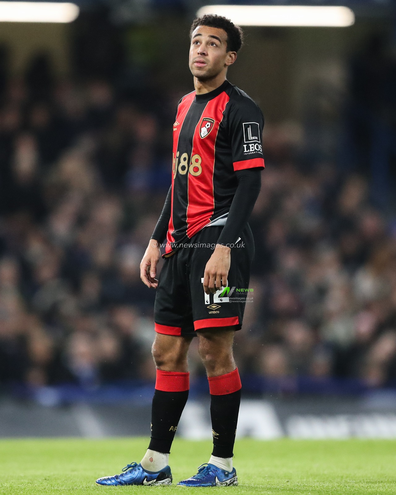 Tyler Adams of Bournemouth during the Premier League match Chelsea vs Bournemouth at Stamford Bridge, London, United Kingdom, 14th January 2025

(Photo by Gareth Evans/News Images)