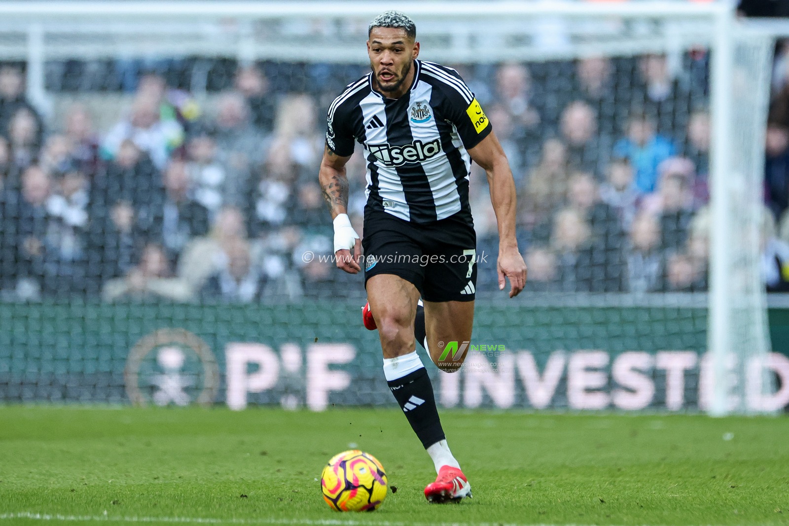 Joelinton of Newcastle United runs with the ball during the Premier League match Newcastle United vs Fulham at St. James's Park, Newcastle, United Kingdom, 1st February 2025

(Photo by Mark Cosgrove/News Images)