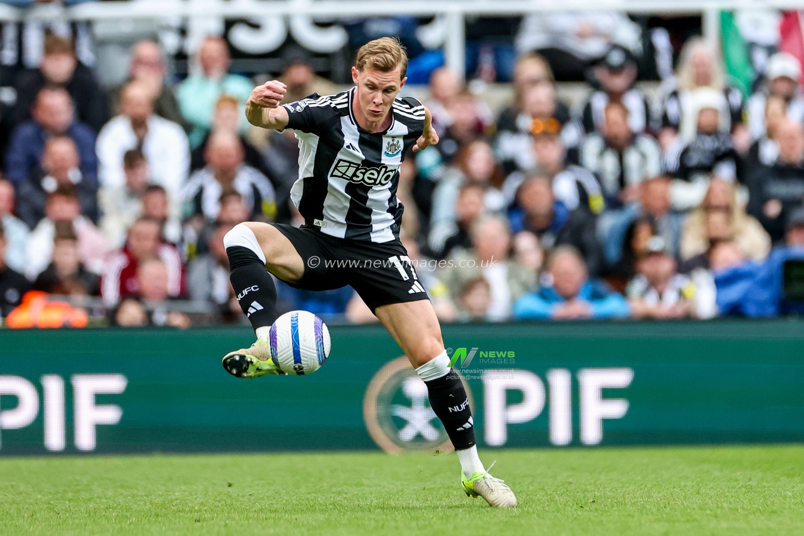 Emil Krafth of Newcastle United controls the ball during the Premier League match Newcastle United vs Manchester United at St. James's Park, Newcastle, United Kingdom, 13th April 2025

(Photo by Mark Cosgrove/News Images)