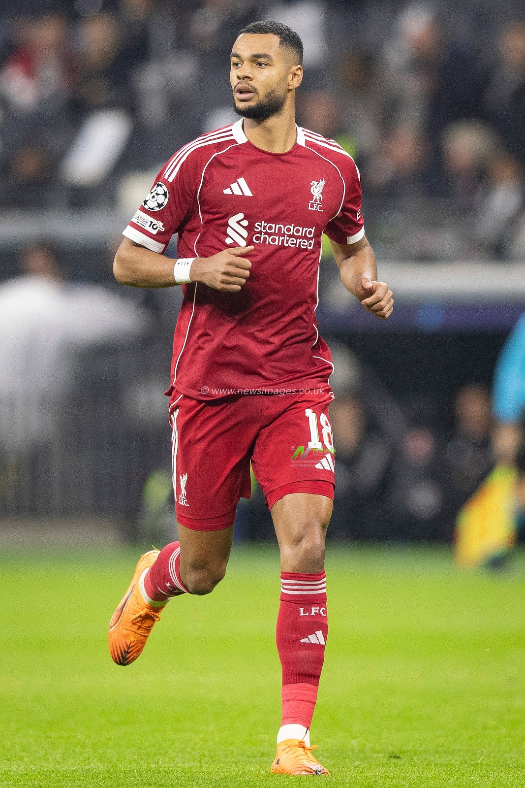 Cody Gakpo of Liverpool during the UEFA Champions League Matchday 3 of 8 Eintracht Frankfurt vs Liverpool at Deutsche Bank Park, Frankfurt, Germany, 22nd October 2025

(Photo by Ian Stephen/News Images)