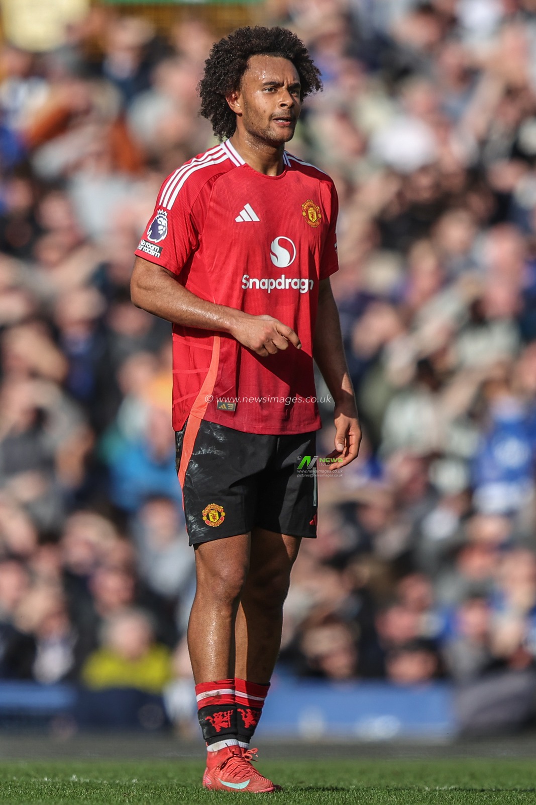 Joshua Zirkzee of Manchester United during the Premier League match Everton vs Manchester United at Goodison Park, Liverpool, United Kingdom, 22nd February 2025

(Photo by Alfie Cosgrove/News Images)
