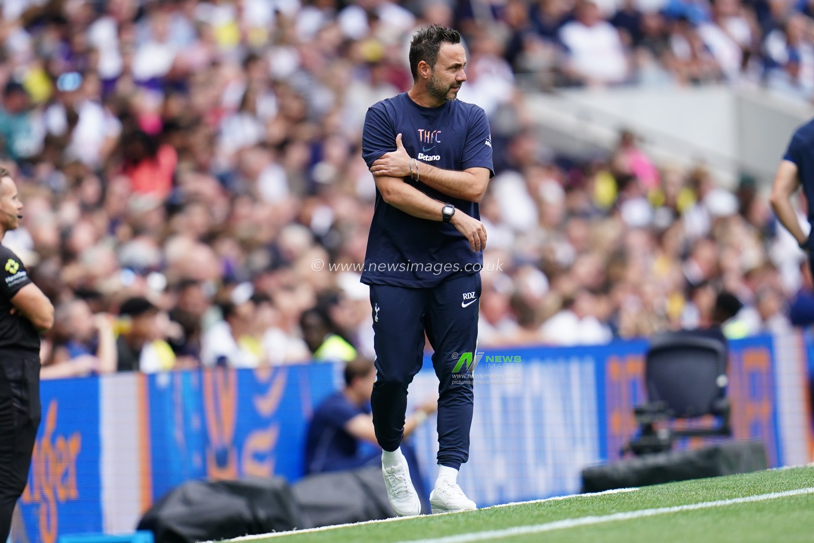 pre-season friendly: Tottenham Hotspur v Hoffenheim