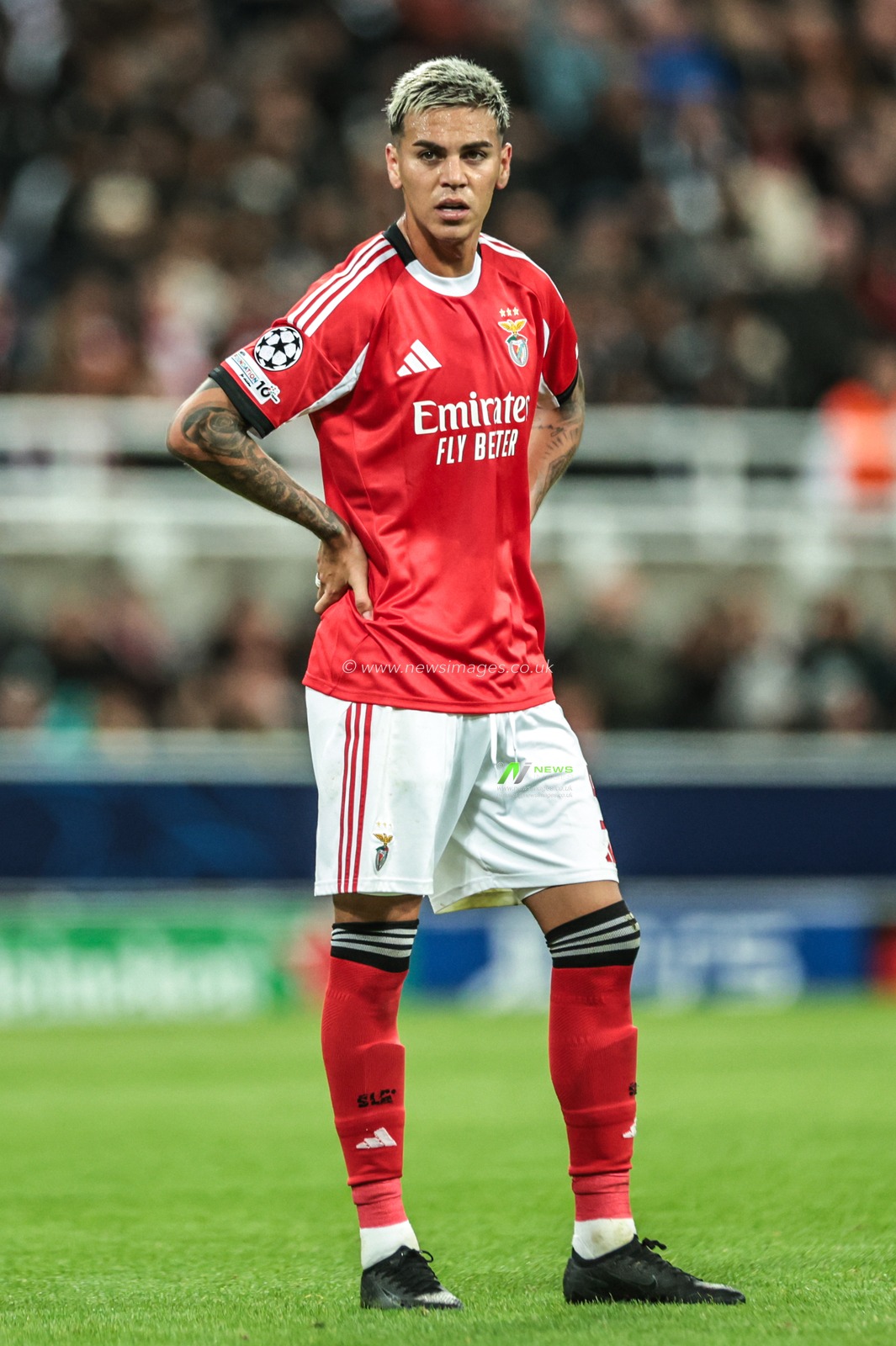 Enzo Barrenechea of Benfica during the UEFA Champions League Matchday 3 of 8 Newcastle United vs Benfica at St. James's Park, Newcastle, United Kingdom, 21st October 2025

(Photo by Mark Cosgrove/News Images)
