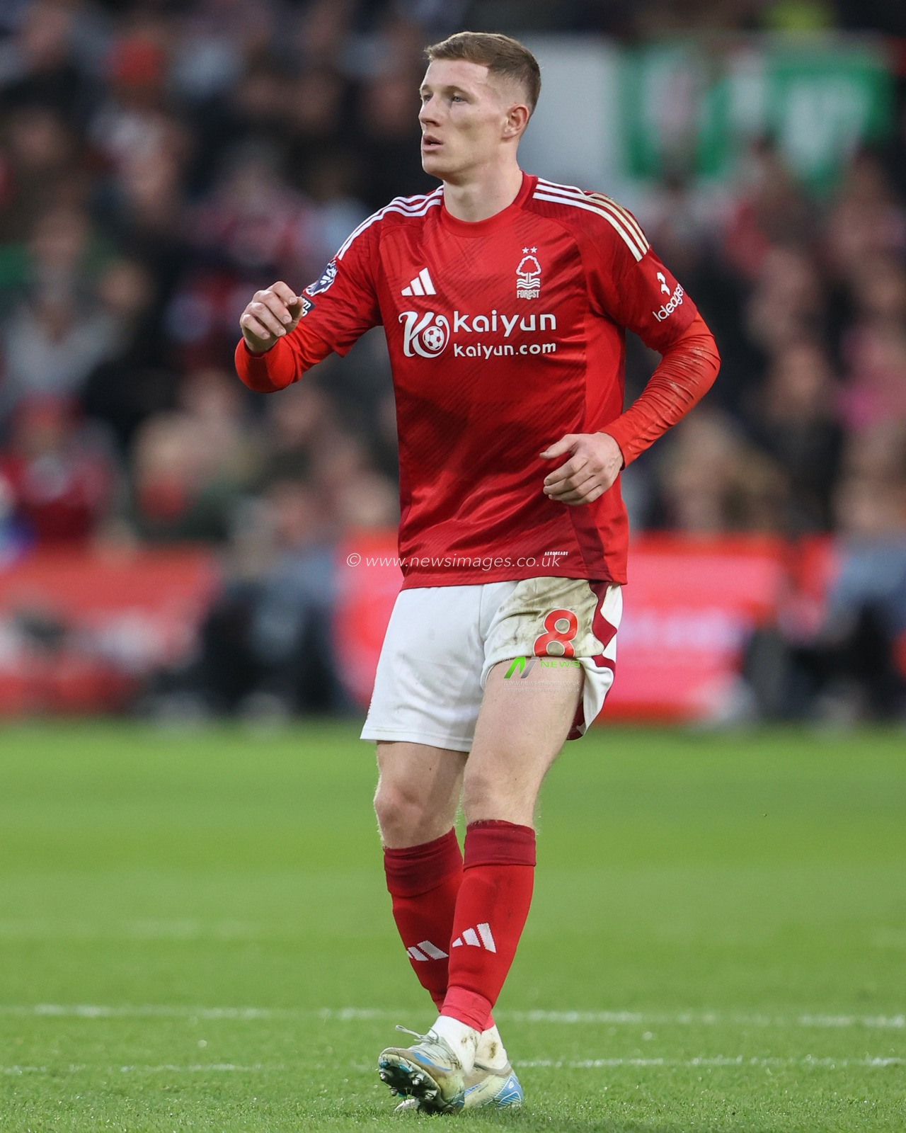 Elliot Anderson of Nottingham Forest during the Premier League match Nottingham Forest vs Ipswich Town at City Ground, Nottingham, United Kingdom, 30th November 2024

(Photo by Alfie Cosgrove/News Images)