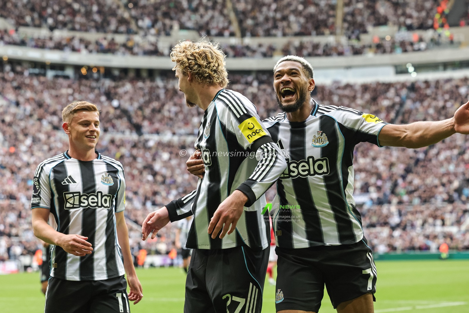 Nick Woltemade of Newcastle United celebrates his goal to make it 2-0 during the Premier League match Newcastle United vs Nottingham Forest at St. James's Park, Newcastle, United Kingdom, 5th October 2025

(Photo by Mark Cosgrove/News Images)