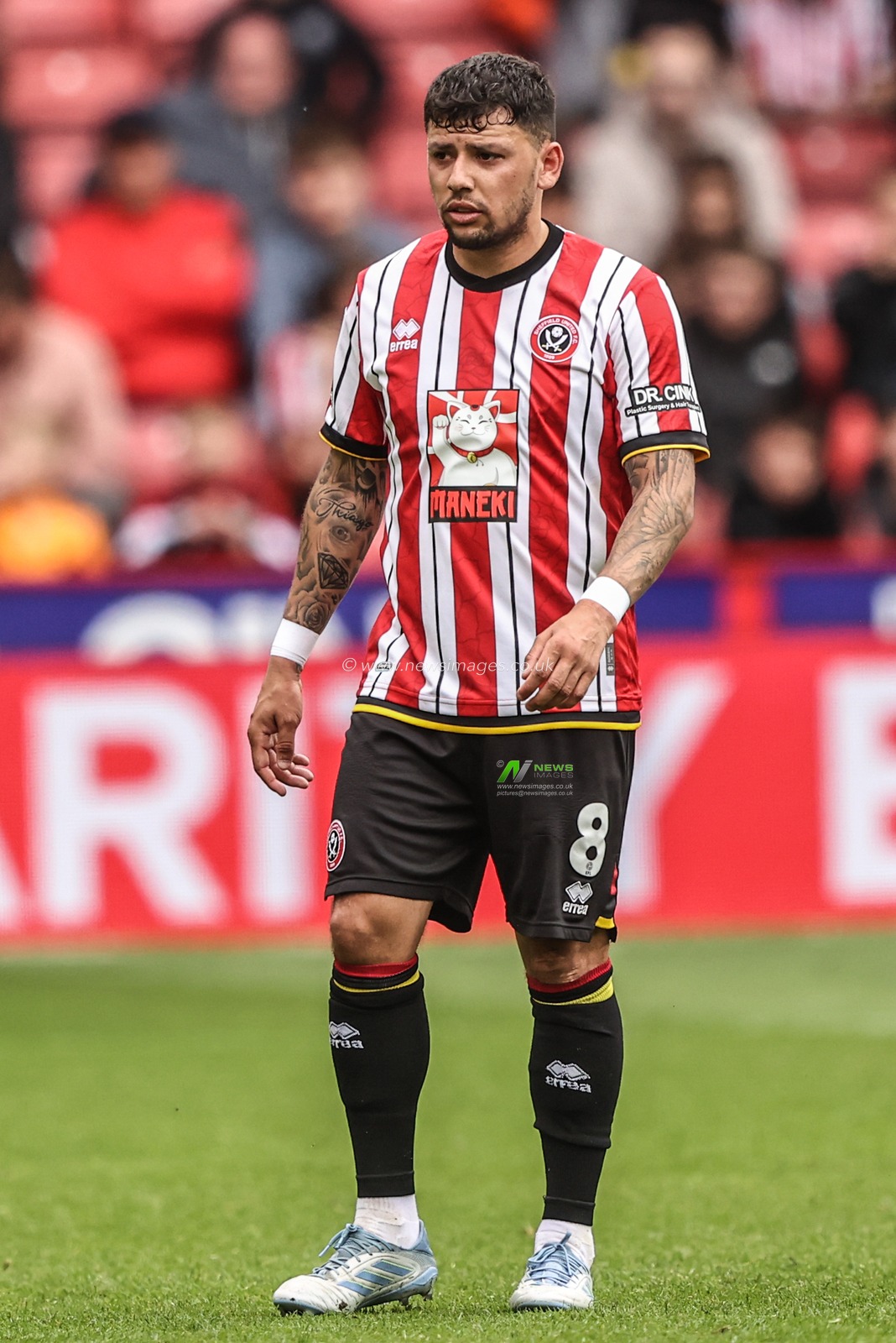 Gustavo Hamer of Sheffield United during the Sky Bet Championship match Sheffield United vs Blackburn Rovers at Bramall Lane, Sheffield, United Kingdom, 3rd May 2025

(Photo by Alfie Cosgrove/News Images)