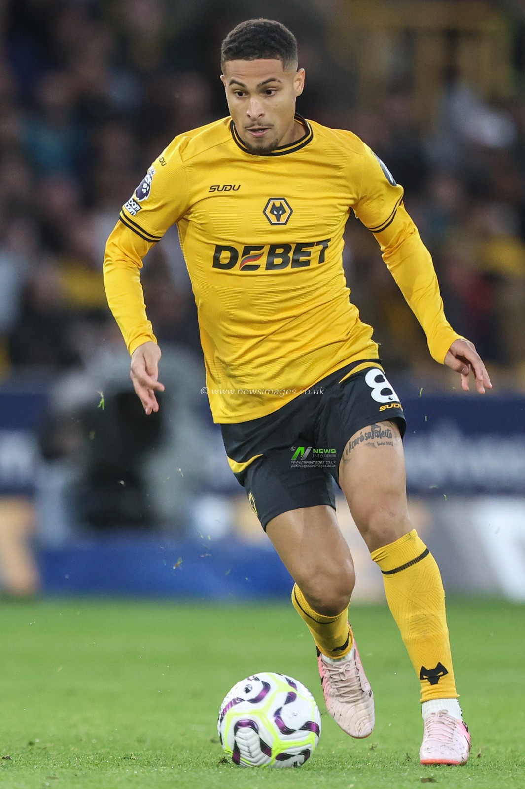 JoÃ£o Gomes of Wolverhampton Wanderers during the Premier League match Wolverhampton Wanderers vs Liverpool at Molineux, Wolverhampton, United Kingdom, 28th September 2024

(Photo by Alfie Cosgrove/News Images)