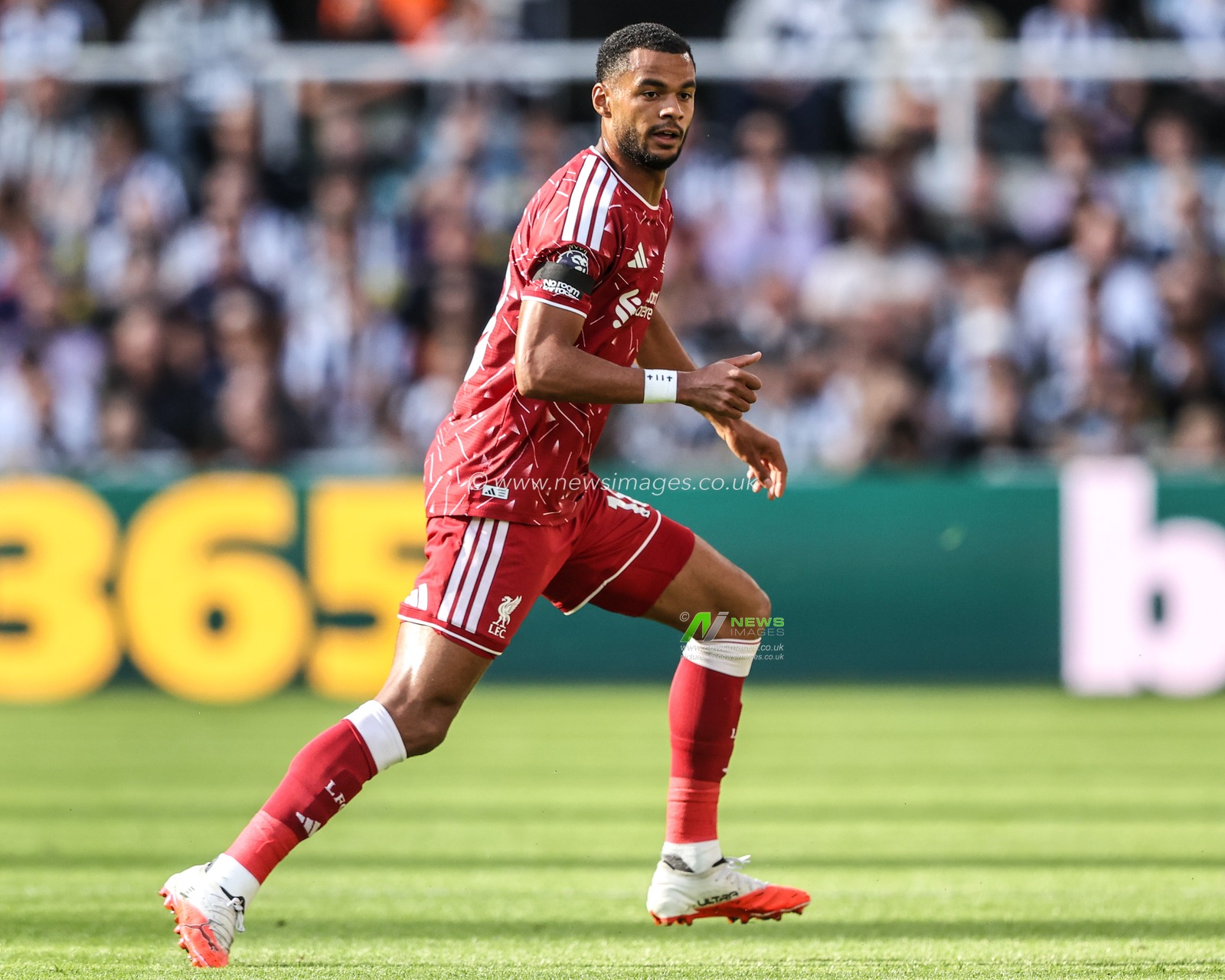 Premier League: Newcastle Untied v Liverpool