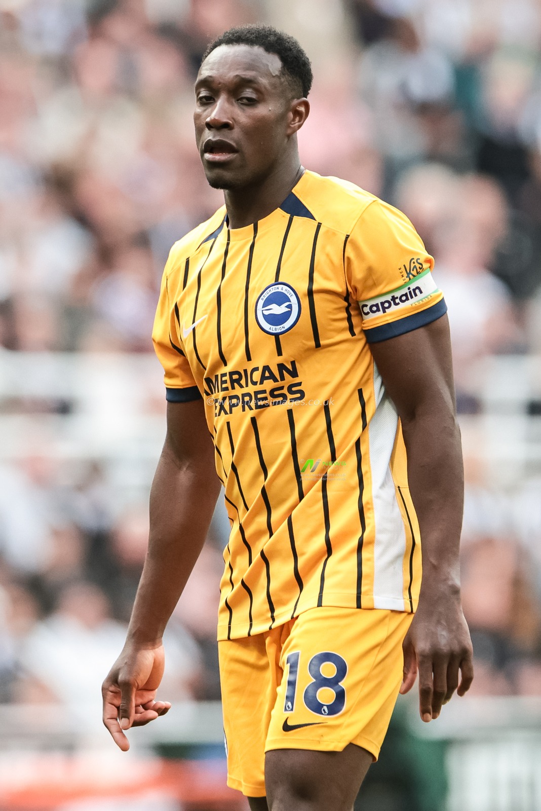 Danny Welbeck of Brighton & Hove Albion during the Premier League match Newcastle Untied vs Brighton & Hove Albion at St. James's Park, Newcastle, United Kingdom on 02 May 2026

(Photo by Mark Cosgrove/News Images)