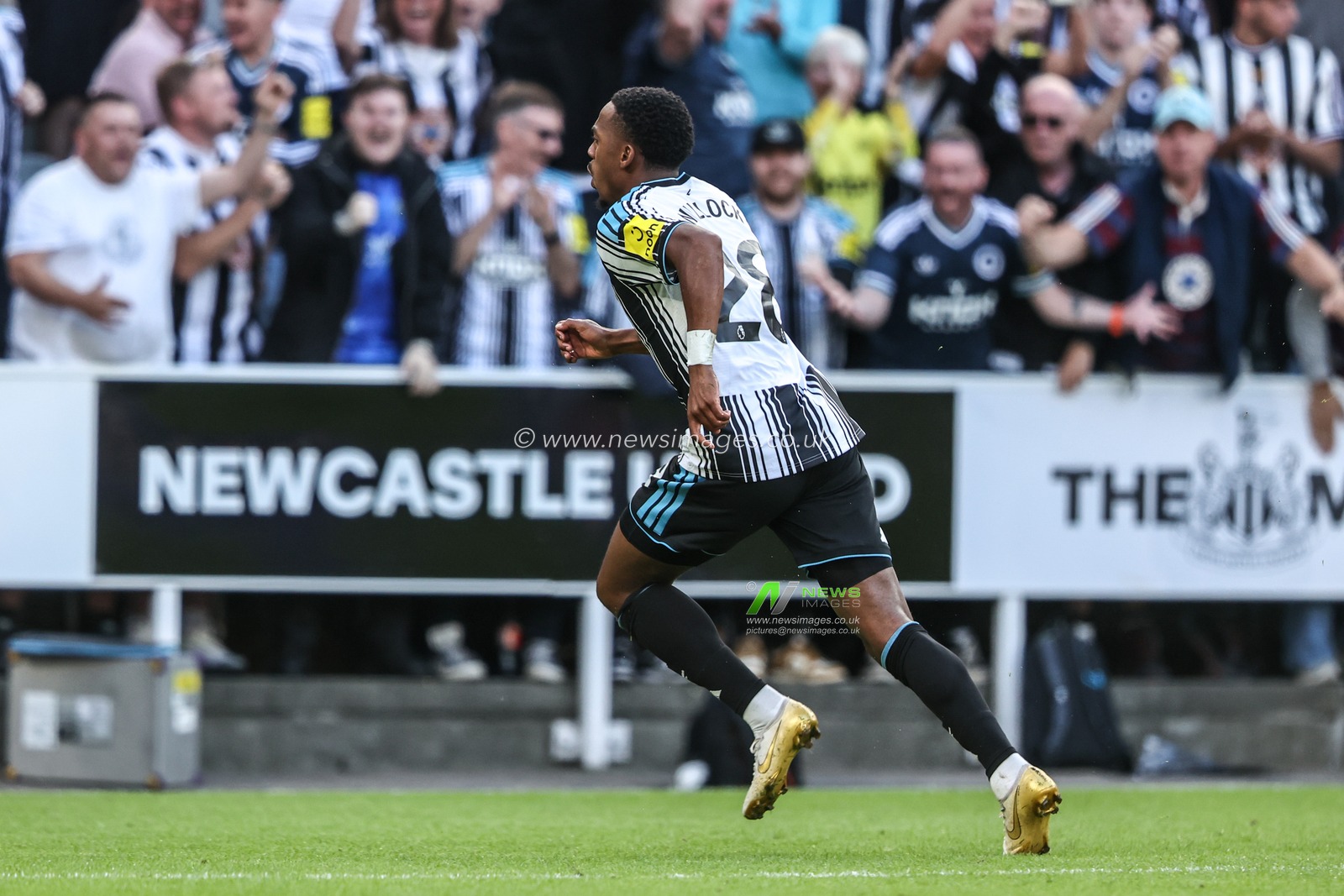 Joe Willock of Newcastle United celebrates his goal to make it 1-1 during the Premier League match Newcastle Untied vs Liverpool at St. James's Park, Newcastle, United Kingdom on 23 August 2026

(Photo by Alfie Cosgrove/News Images)