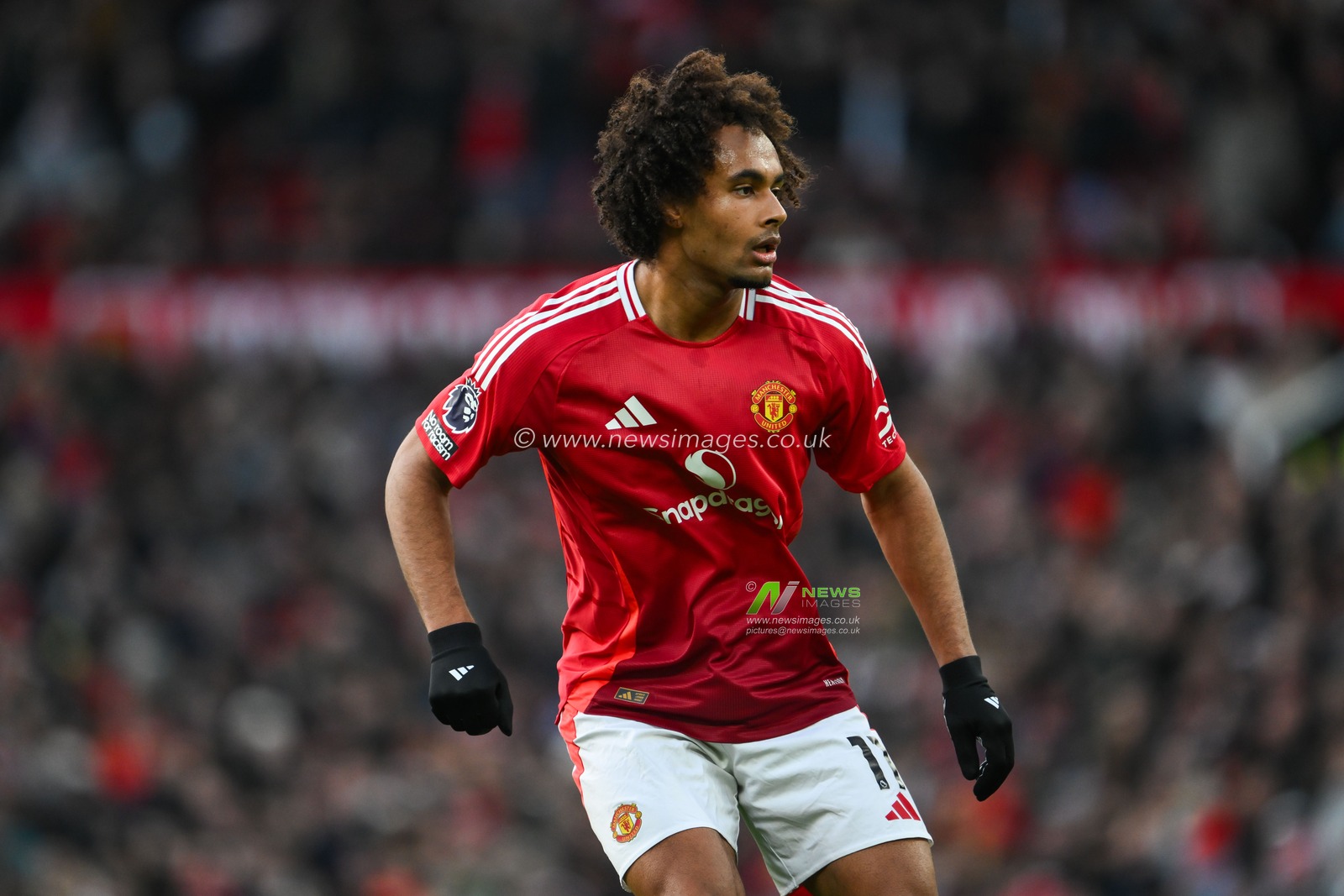 Joshua Zirkzee of Manchester United during the Premier League match Manchester United vs Bournemouth at Old Trafford, Manchester, United Kingdom, 22nd December 2024

(Photo by Craig Thomas/News Images)