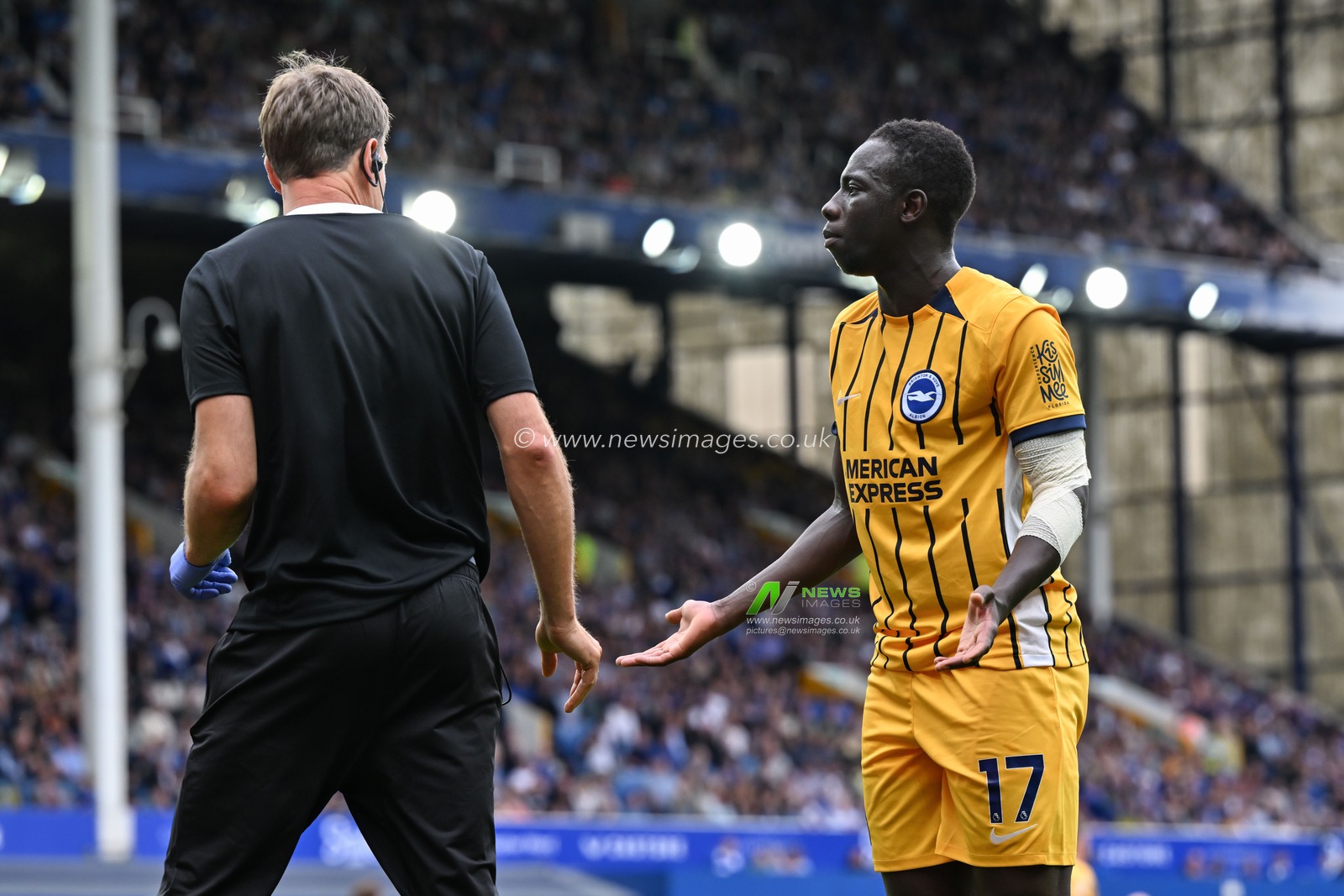 Yankuba Minteh of Brighton & Hove Albion pleads with the Brighton physio to stay on playing during the Premier League match Everton vs Brighton and Hove Albion at Goodison Park, Liverpool, United Kingdom, 17th August 2024

(Photo by Cody Froggatt/News Images)