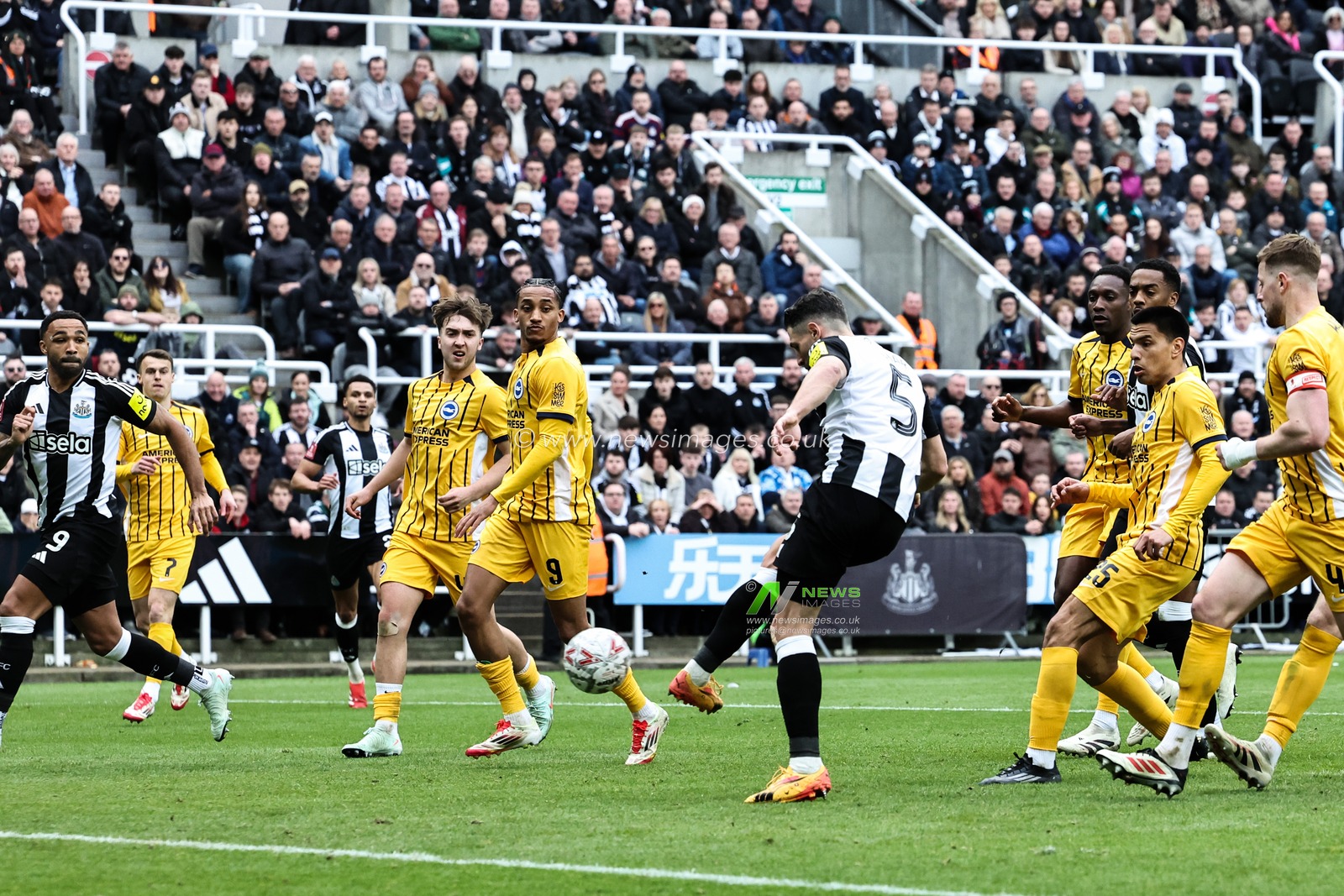 Fabian SchÃ¤r of Newcastle United scores a goal to make it 2-1 but is ruled out for offside after a VAR check during the Emirates FA Cup 5th Round Newcastle United vs Brighton and Hove Albion at St. James's Park, Newcastle, United Kingdom, 2nd March 2025

(Photo by Mark Cosgrove/News Images)