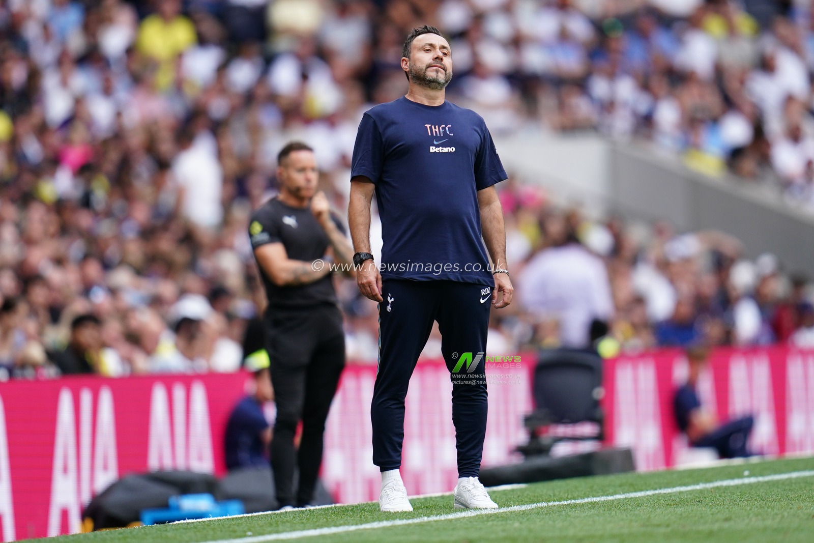 pre-season friendly: Tottenham Hotspur v Hoffenheim