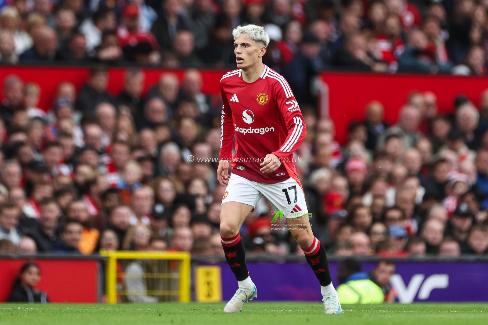 Alejandro Garnacho of Manchester United during the Premier League match Manchester United vs Tottenham Hotspur at Old Trafford, Manchester, United Kingdom, 29th September 2024

(Photo by Mark Cosgrove/News Images)