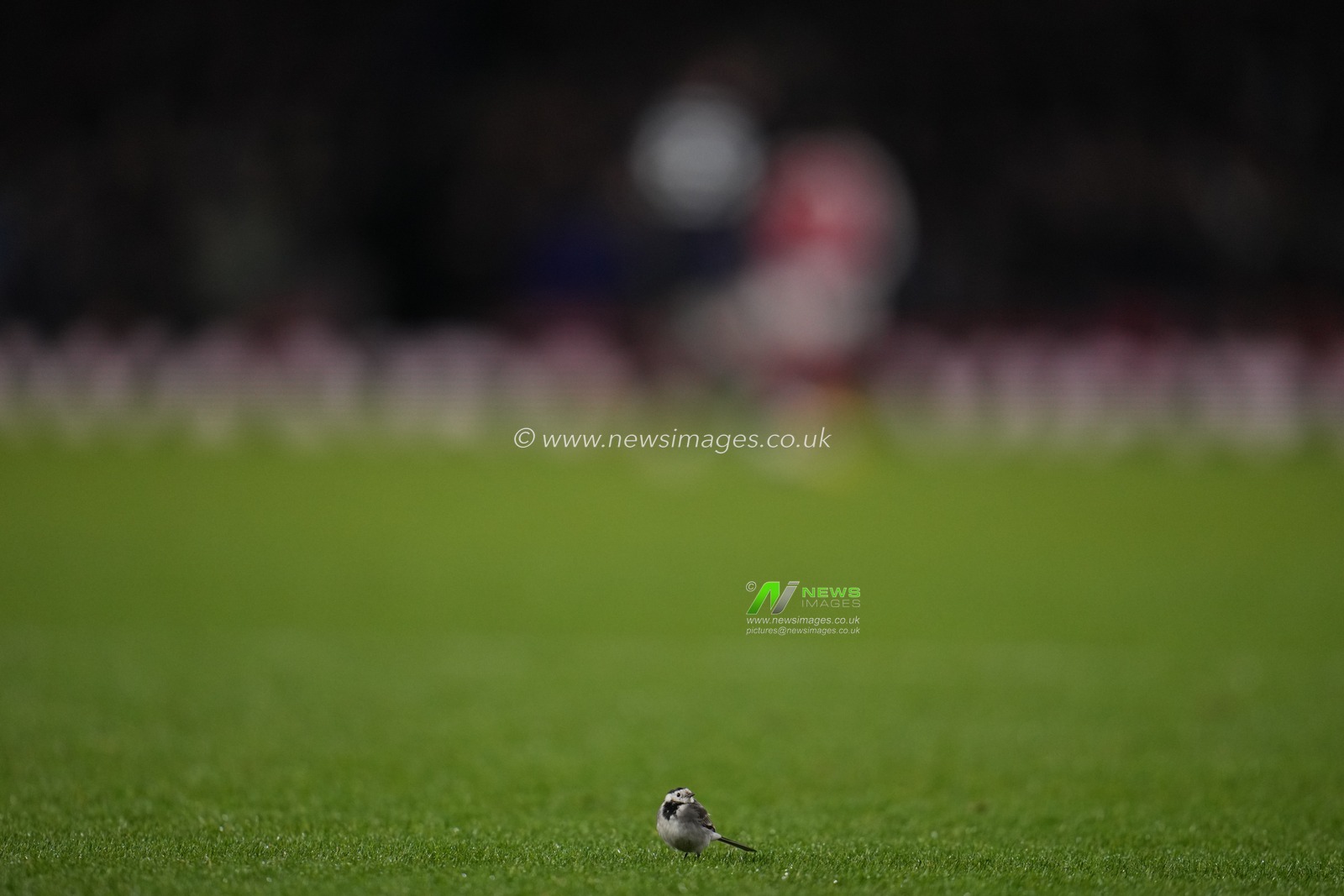 during the Emirates FA Cup 4th round match Arsenal vs Wigan Athletic at Emirates, London, United Kingdom on 15 February 2026

(Photo by Harvey Murphy/News Images)