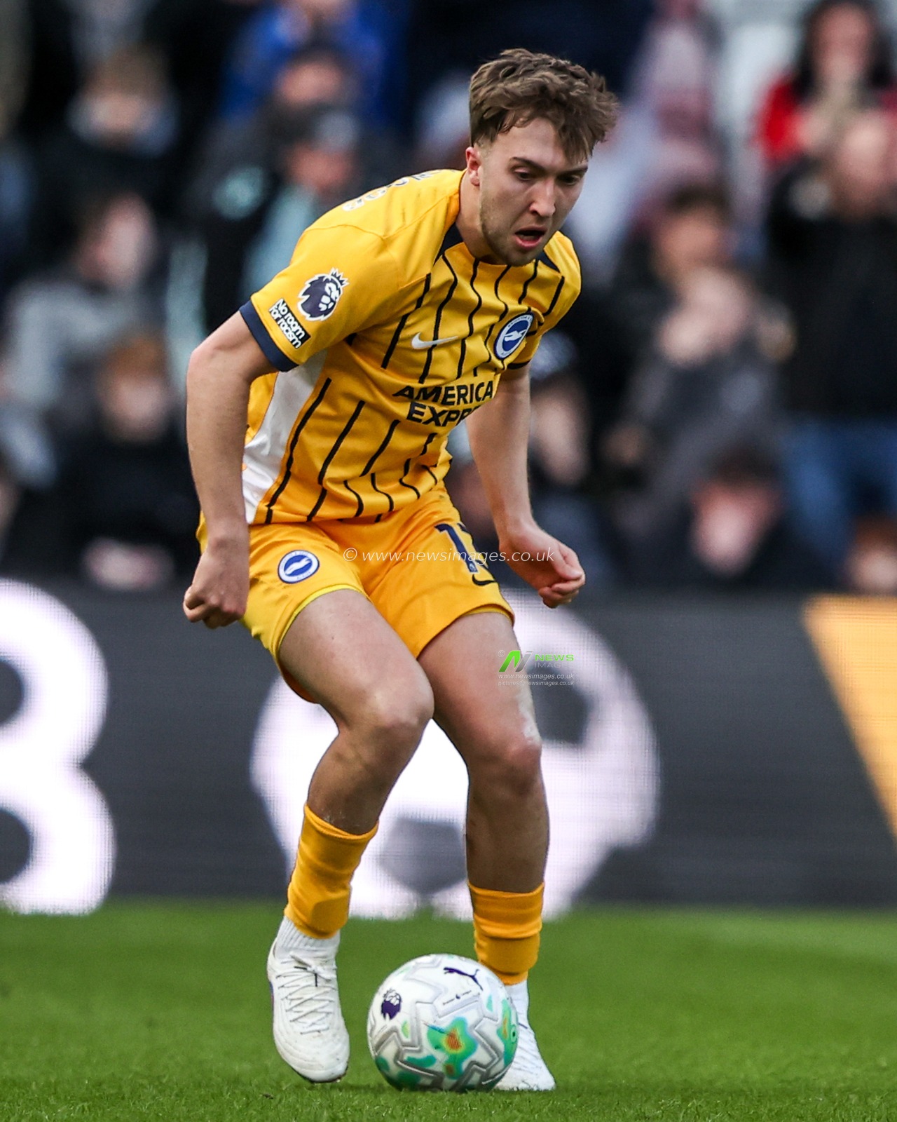 Jack Hinshelwood of Brighton & Hove Albion during the Premier League match Sunderland vs Brighton & Hove Albion at Stadium Of Light, Sunderland, United Kingdom on 14 March 2026

(Photo by Alfie Cosgrove/News Images)