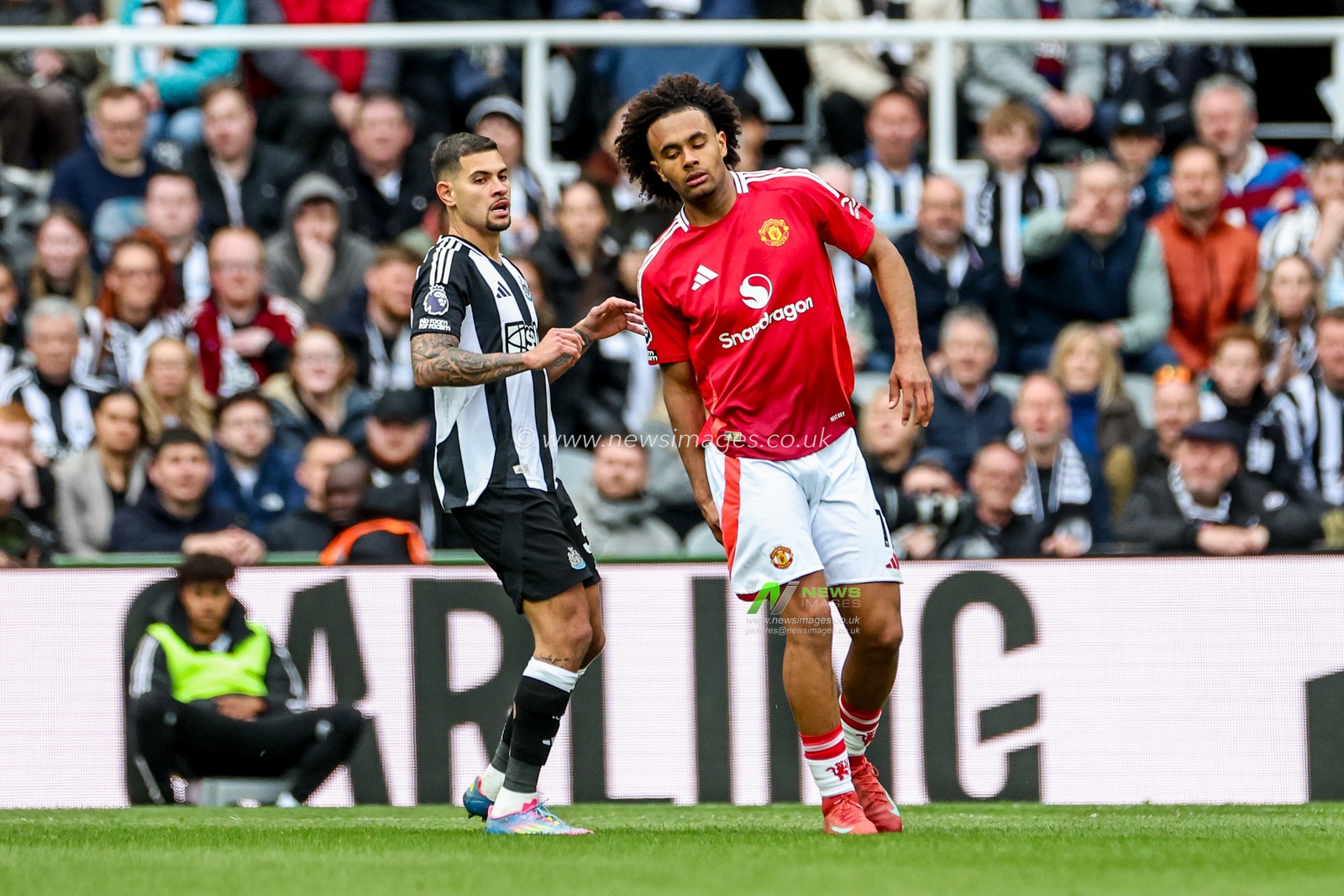 Joshua Zirkzee of Manchester United injures himself whilst passing the ball during the Premier League match Newcastle United vs Manchester United at St. James's Park, Newcastle, United Kingdom, 13th April 2025

(Photo by Mark Cosgrove/News Images)