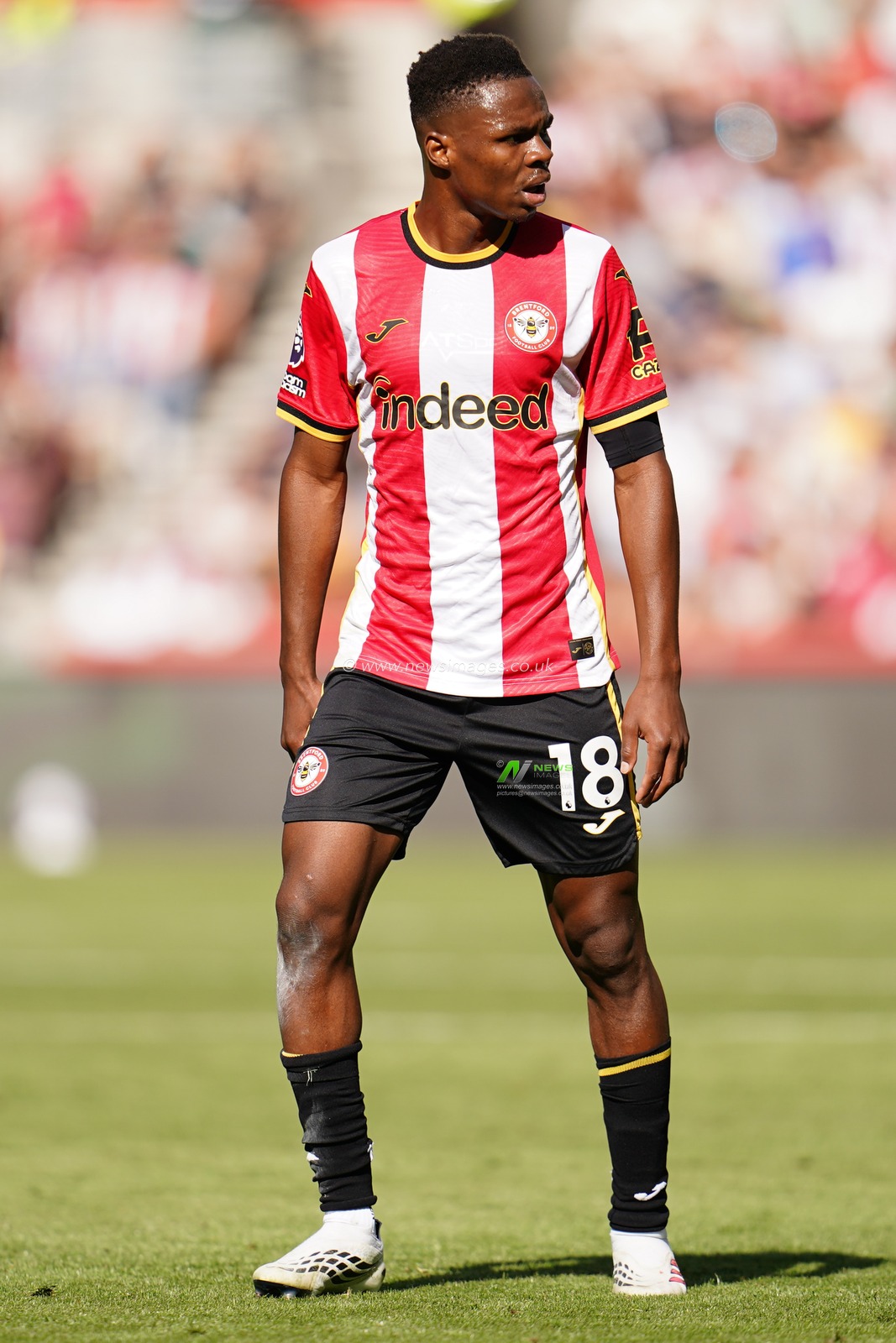 Premier League: Brentford v Sunderland