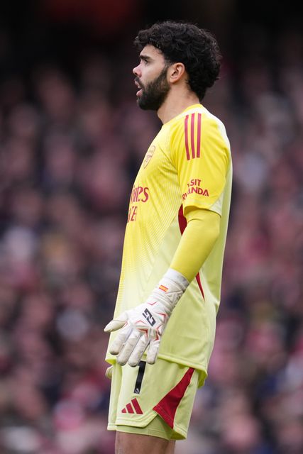 Premier League Arsenal v Sunderland