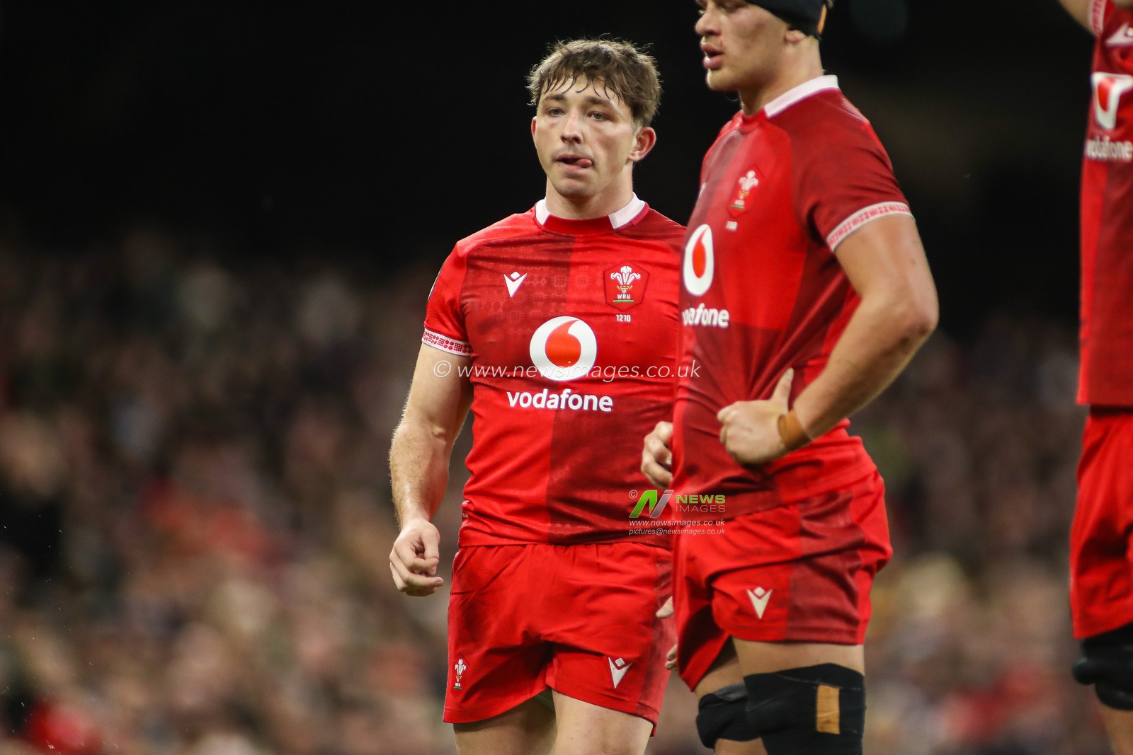 Dan Edwards of Wales during the Guinness Six Nations match Wales vs France at Principality Stadium, Cardiff, United Kingdom, 15th February 2026

(Photo by Andrew Lewis/News Images)