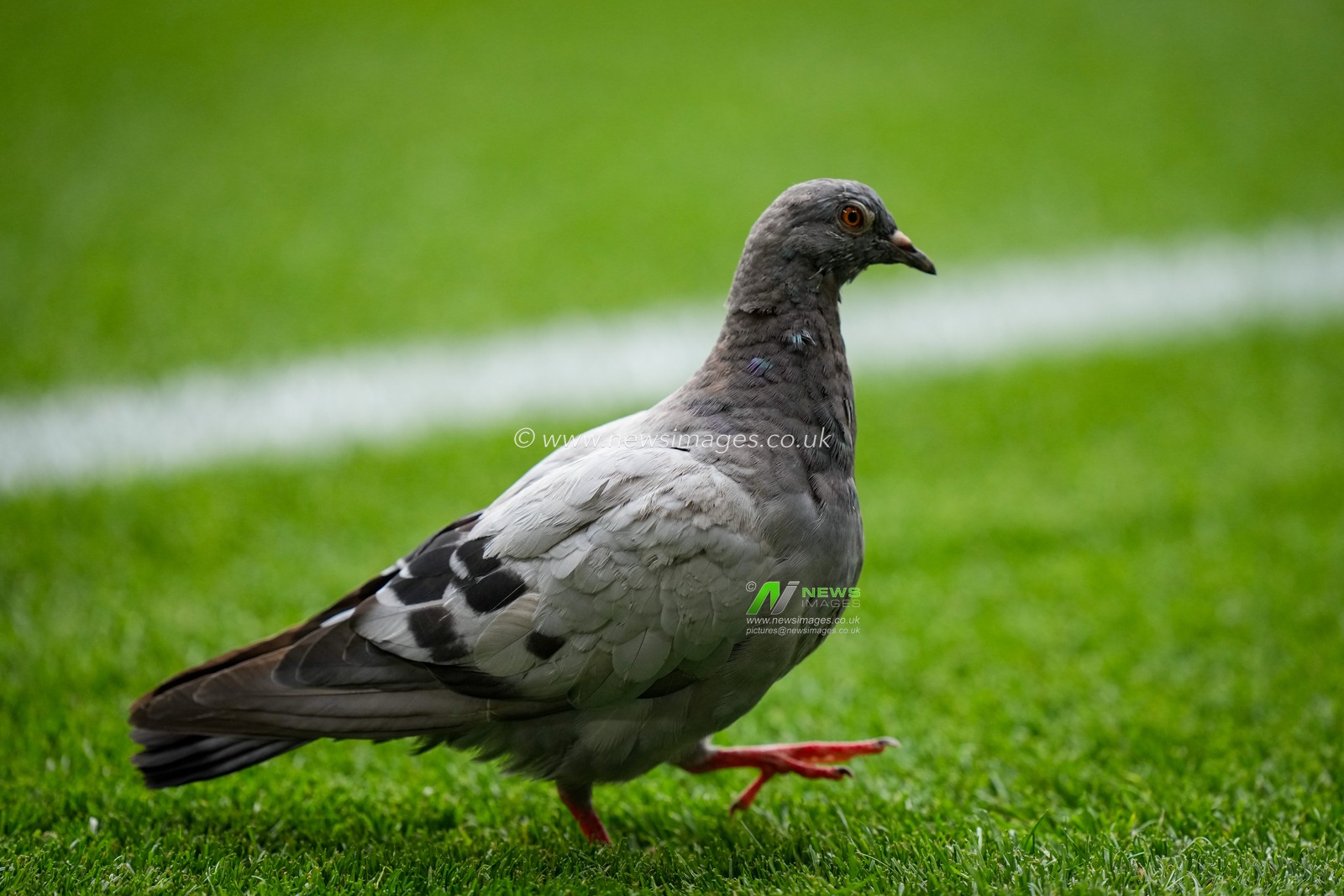 Premier League: Nottingham Forest v Tottenham Hotspur