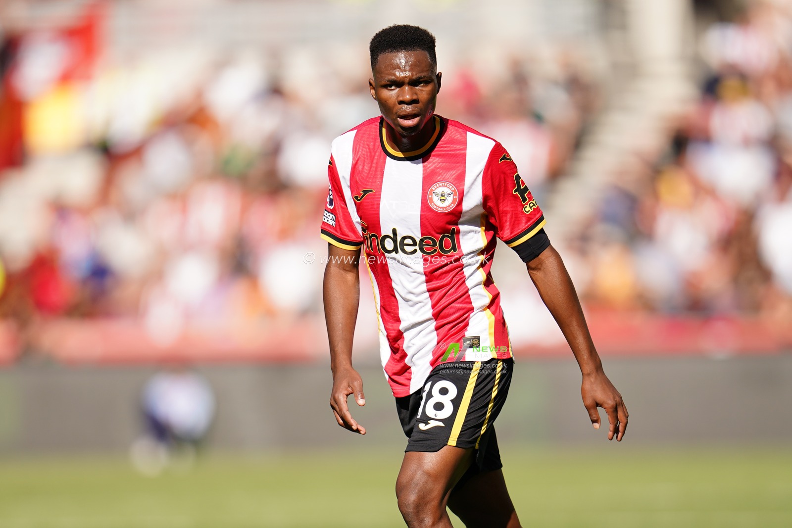 Premier League: Brentford v Sunderland