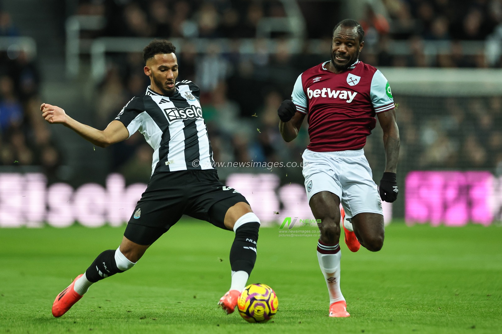 Lloyd Kelly of Newcastle United under pressure from Michail Antonio of West Ham United during the Premier League match Newcastle United vs West Ham United at St. James's Park, Newcastle, United Kingdom, 25th November 2024

(Photo by Mark Cosgrove/News Images)