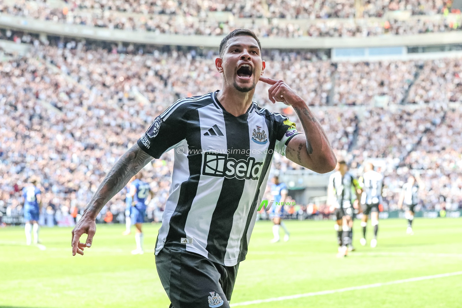 Bruno GuimarÃ£es of Newcastle United celebrates his goal to make it 2-0 during the Premier League match Newcastle United vs Chelsea at St. James's Park, Newcastle, United Kingdom, 11th May 2025

(Photo by Mark Cosgrove/News Images)