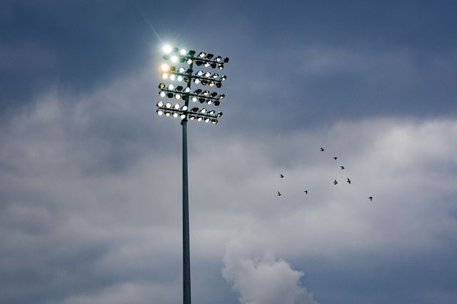 A general view of the floodlights with birds during the County Championship Division One day 3 Leicestershire vs Nottinghamshire at Grace Road, Leicester, United Kingdom on 03 May 2026

(Photo by Maynard Manyowa/News Images)