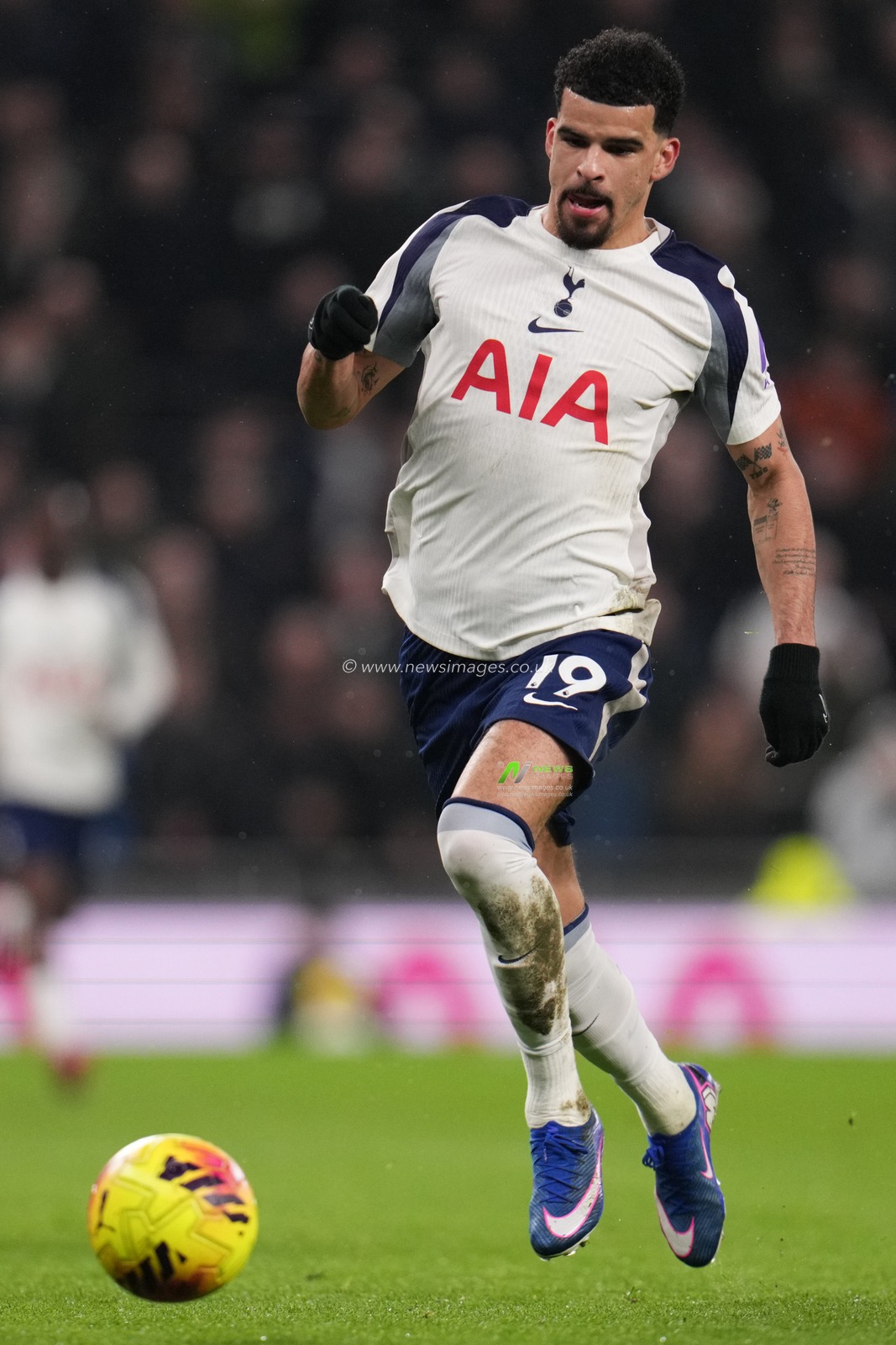 Dominic Solanke of Tottenham Hotspur during the Premier League match Tottenham Hotspur vs Newcastle Untied at Tottenham Hotspur Stadium, London, United Kingdom on 10 February 2026

(Photo by Harvey Murphy/News Images)