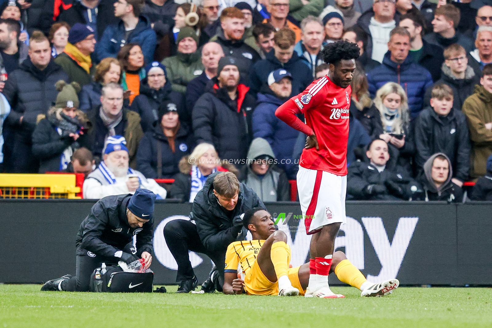 Danny Welbeck of Brighton & Hove Albion gives the team instructions during the Premier League match Nottingham Forest vs Brighton and Hove Albion at City Ground, Nottingham, United Kingdom, 1st February 2025

(Photo by Alfie Cosgrove/News Images)