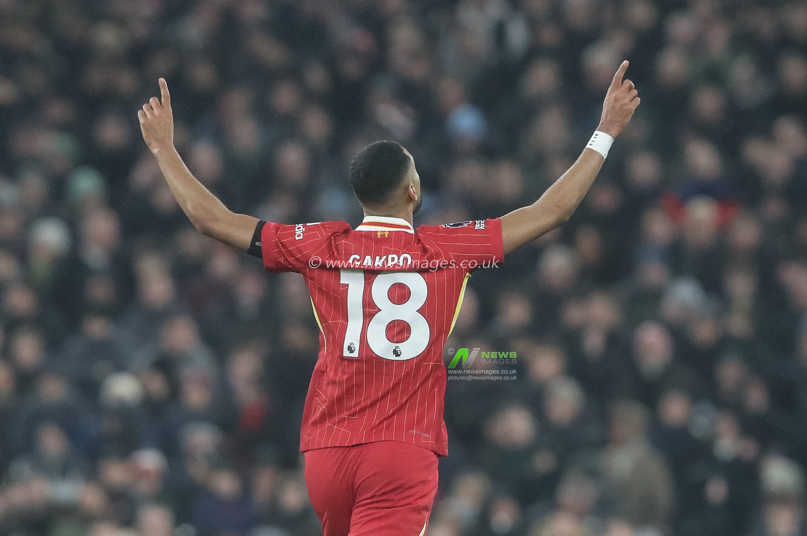 Cody Gakpo of Liverpool celebrates his goal to make it 1-1 during the Premier League match Liverpool vs Manchester United at Anfield, Liverpool, United Kingdom, 5th January 2025

(Photo by Gareth Evans/News Images)