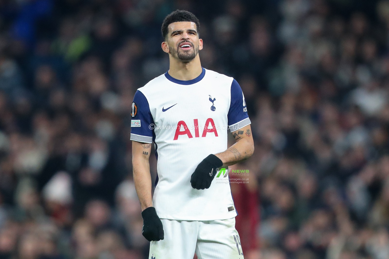 Dominic Solanke of Tottenham Hotspur during the UEFA Europa League - League Stage match Tottenham Hotspur vs A.S. Roma at Tottenham Hotspur Stadium, London, United Kingdom, 28th November 2024

(Photo by Gareth Evans/News Images)