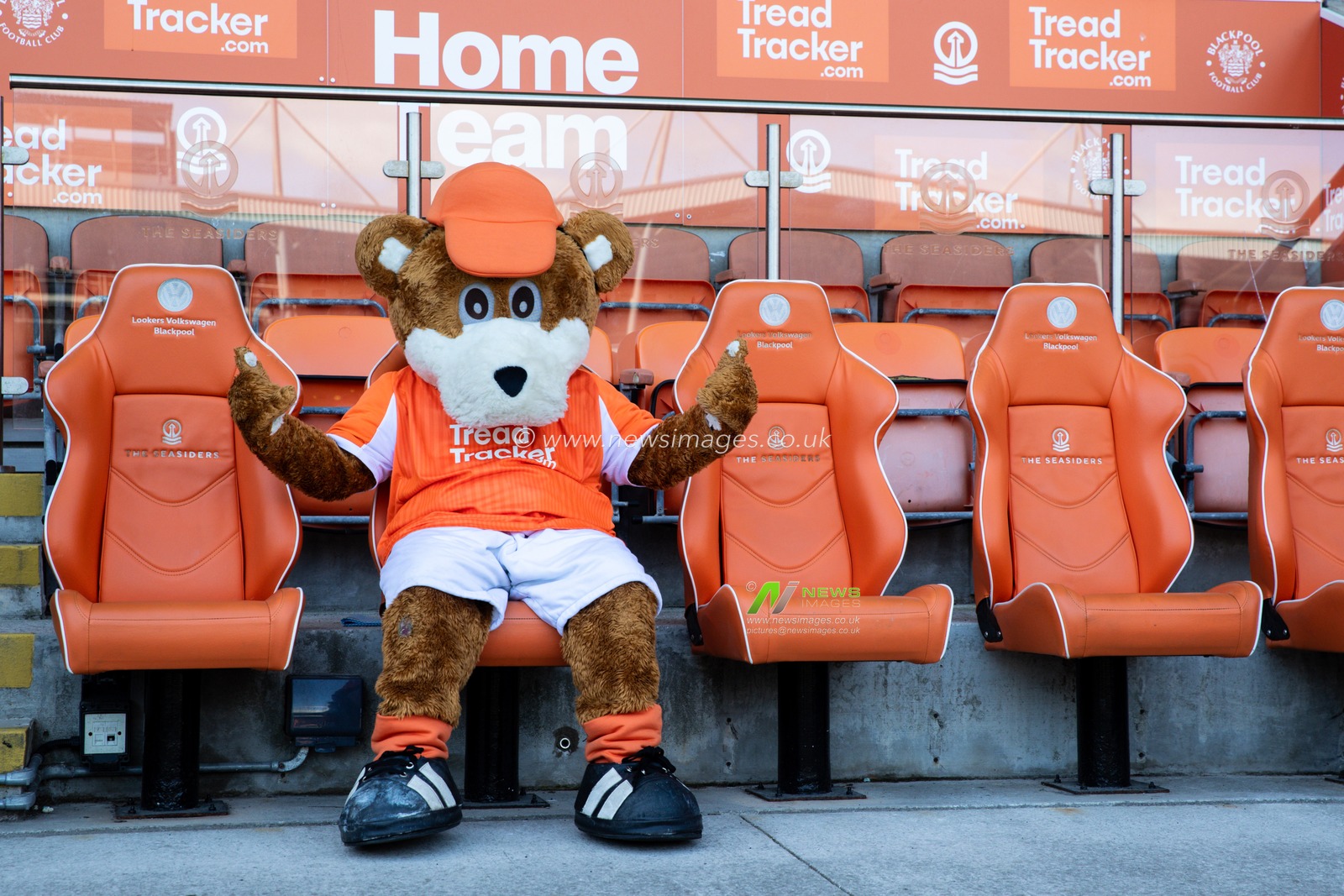 Bloomfield Bear wearing the new Blackpool home shirt ahead of the Sky Bet League 1 match Blackpool vs Bristol Rovers at Bloomfield Road, Blackpool, United Kingdom, 3rd May 2025

(Photo by Gareth Evans/News Images)