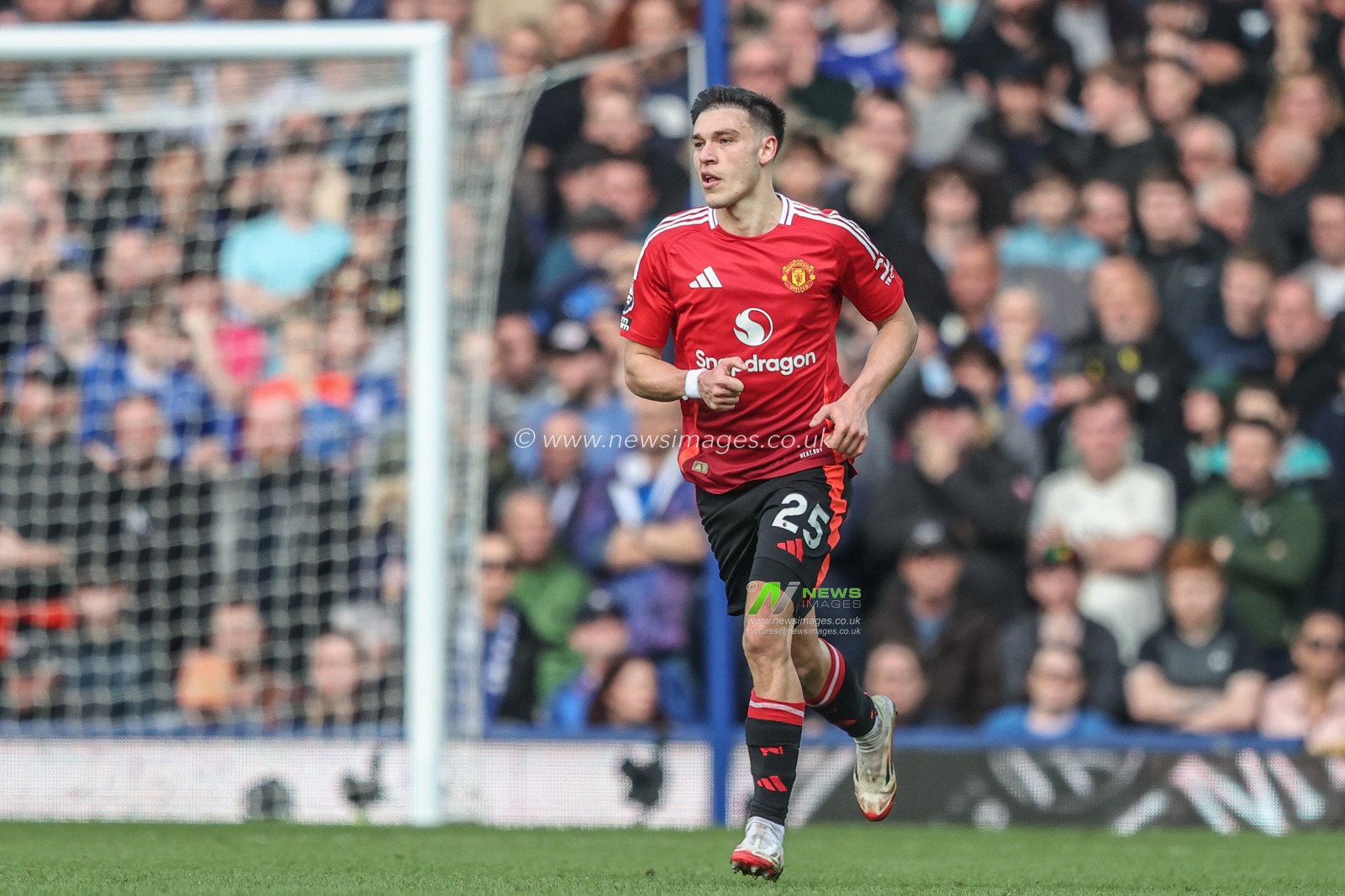 Manuel Ugarte of Manchester United celebrates his goal to make it 2-2 during the Premier League match Everton vs Manchester United at Goodison Park, Liverpool, United Kingdom, 22nd February 2025

(Photo by Alfie Cosgrove/News Images)
