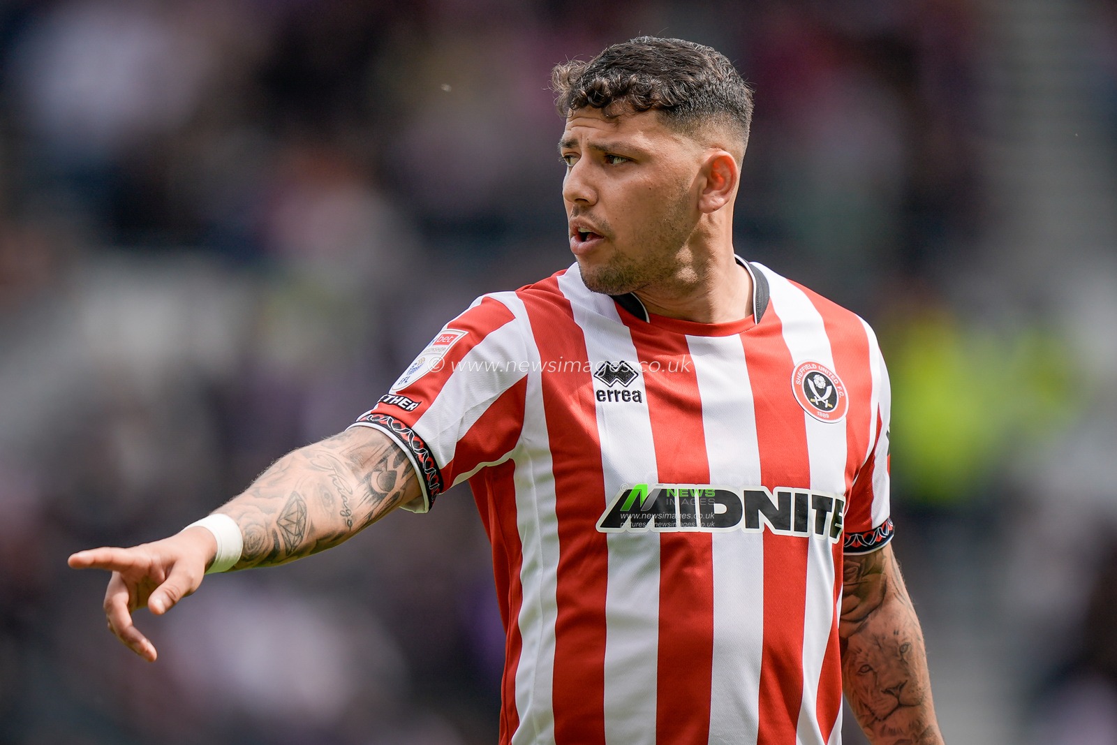 Gustavo Hamer of Sheffield United during the Sky Bet Championship match Derby County vs Sheffield United at Pride Park Stadium, Derby, United Kingdom on 02 May 2026

(Photo by Maynard Manyowa/News Images)