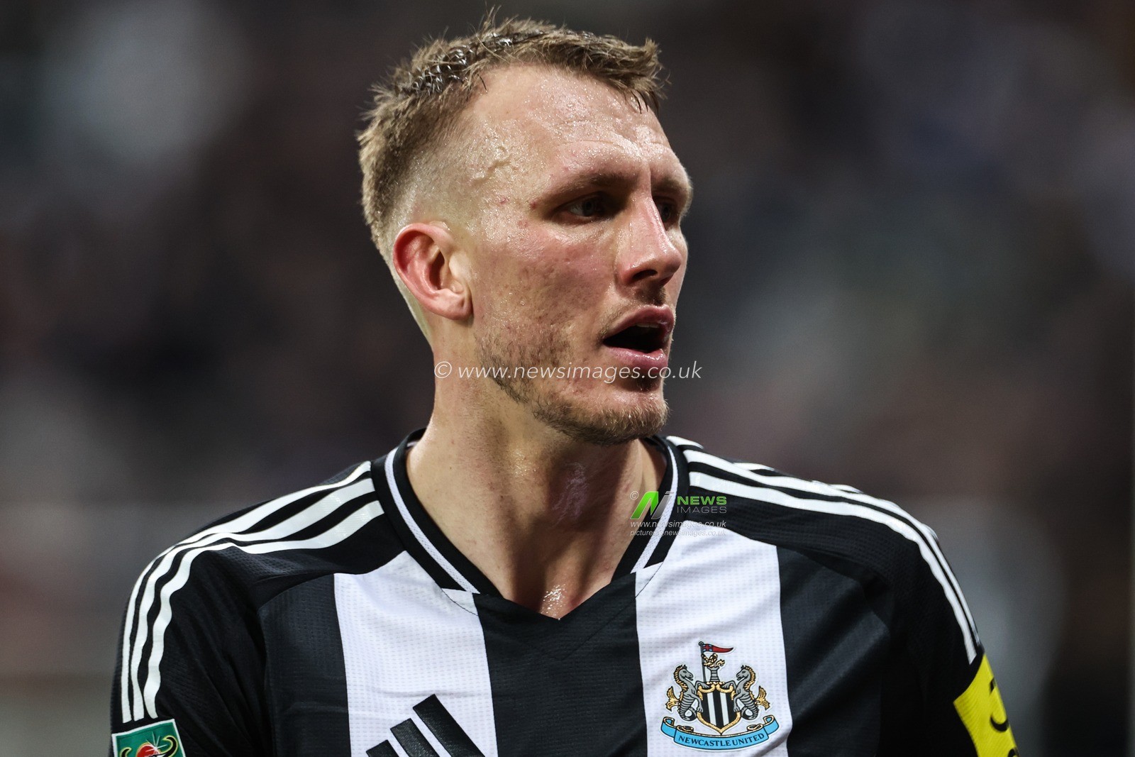 Dan Burn of Newcastle United during the Carabao Cup Quarter Final Newcastle United vs Brentford at St. James's Park, Newcastle, United Kingdom, 18th December 2024

(Photo by Mark Cosgrove/News Images)