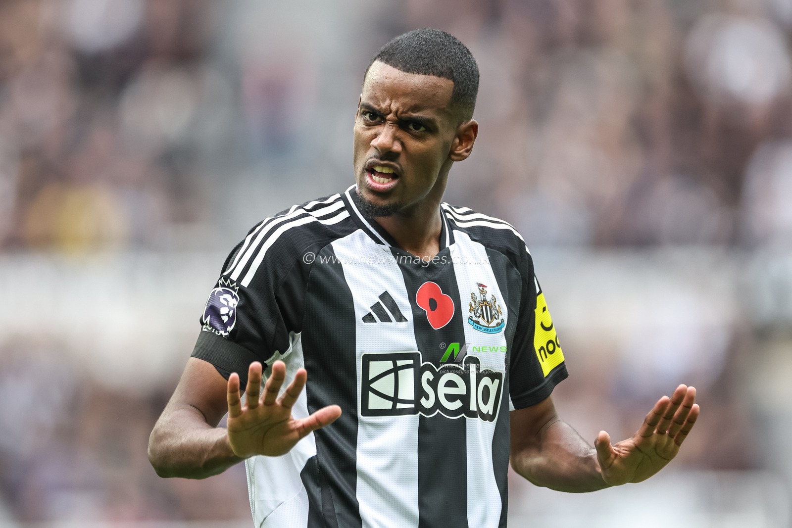 Alexander Isak of Newcastle United during the Premier League match Newcastle United vs Arsenal at St. James's Park, Newcastle, United Kingdom, 2nd November 2024

(Photo by Mark Cosgrove/News Images)