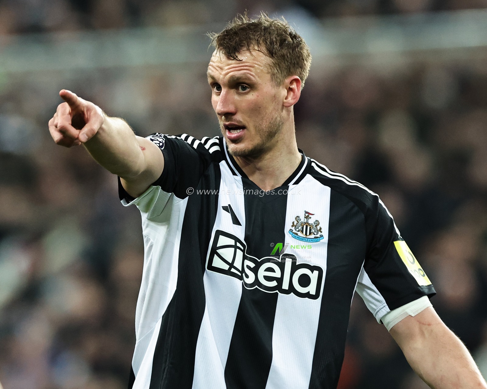 Dan Burn of Newcastle United gives his teammates instructions during the Premier League match Newcastle United vs Wolverhampton Wanderers at St. James's Park, Newcastle, United Kingdom, 15th January 2025

(Photo by Mark Cosgrove/News Images)