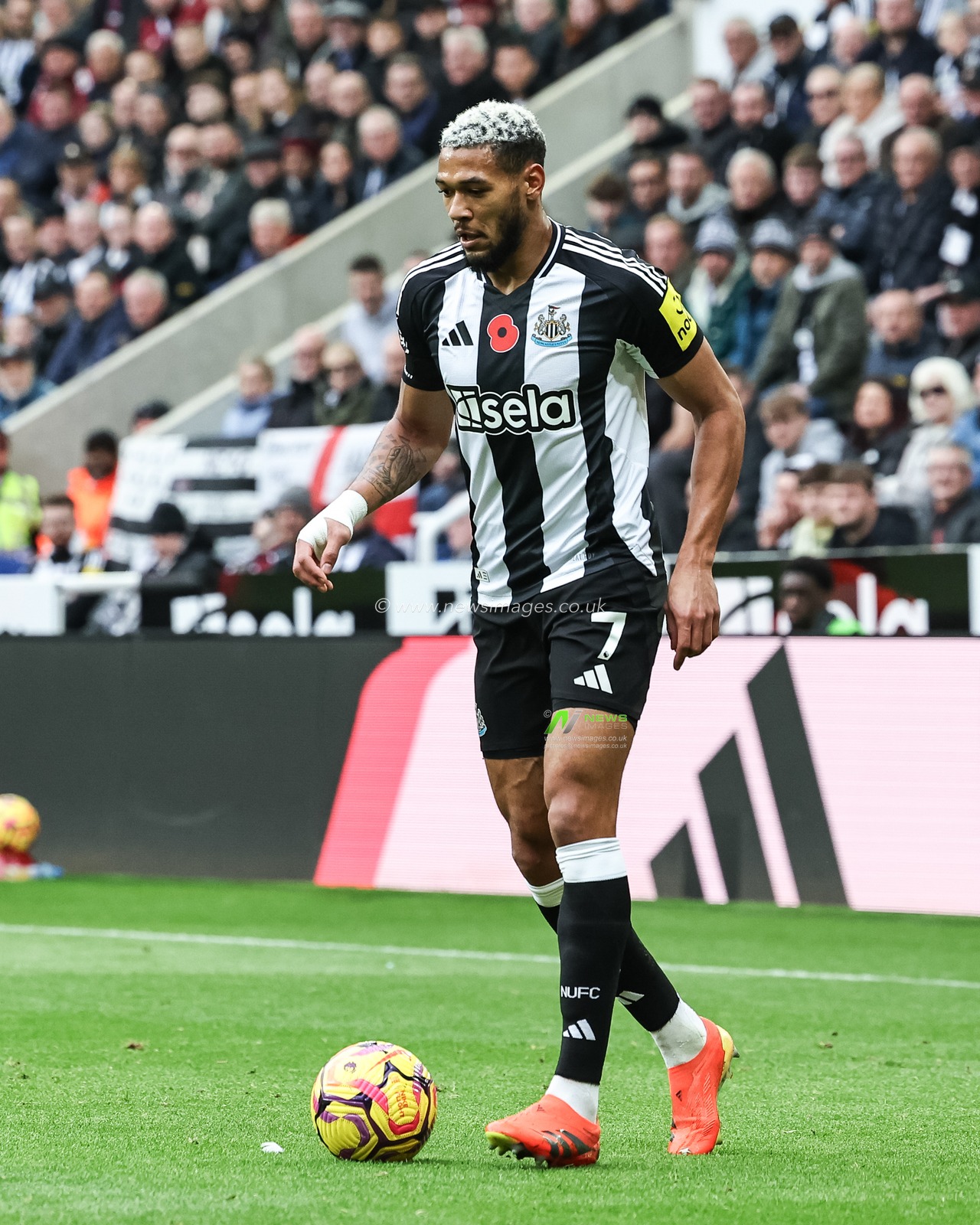 Joelinton of Newcastle United during the Premier League match Newcastle United vs Arsenal at St. James's Park, Newcastle, United Kingdom, 2nd November 2024

(Photo by Mark Cosgrove/News Images)