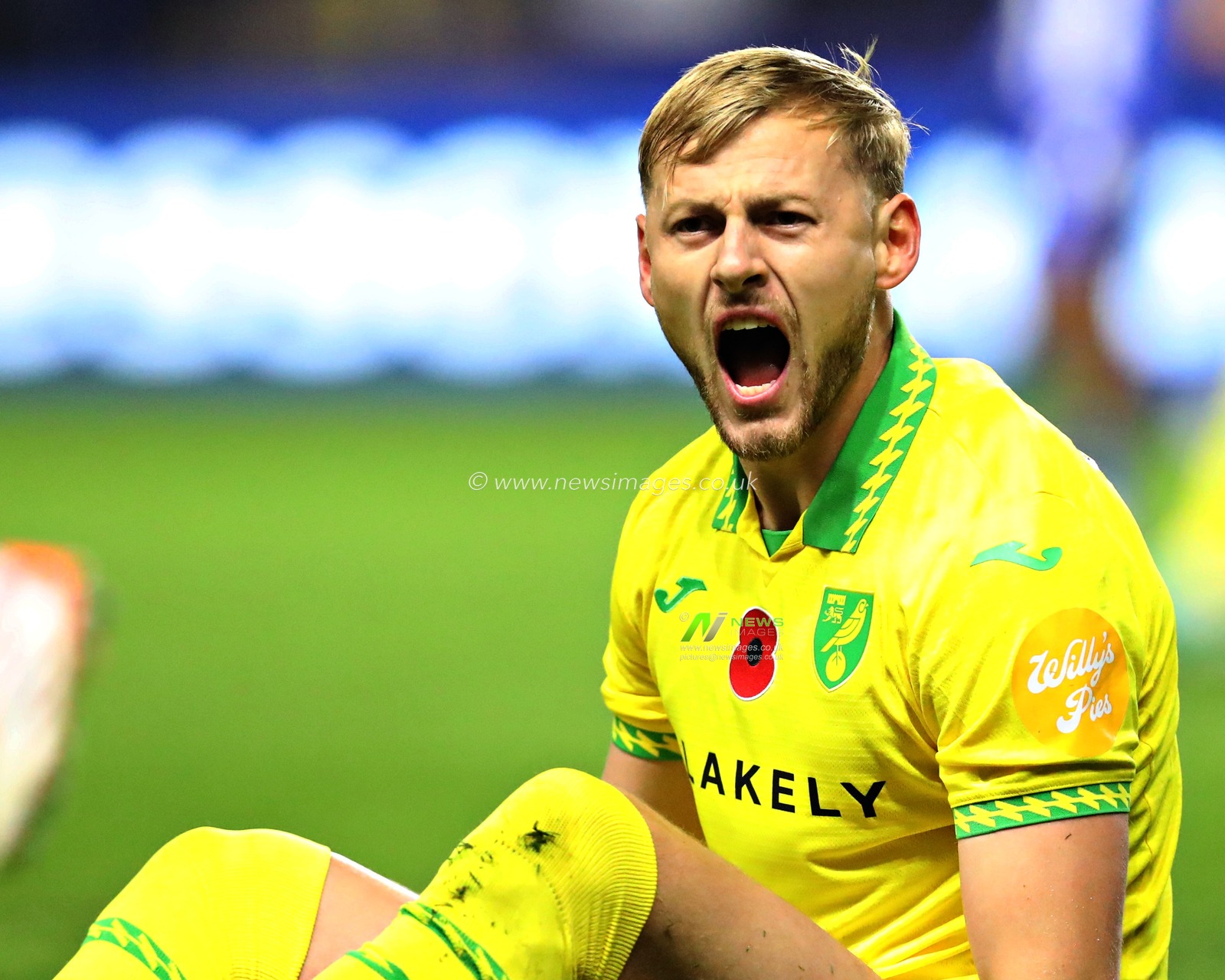 Harry Darling of Norwich City appeals during the Sky Bet Championship match Sheffield Wednesday vs Norwich City at Hillsborough, Sheffield, United Kingdom, 5th November 2025(Photo by Sam Eaden/News Images)*** GER AUT SUI OUT ***