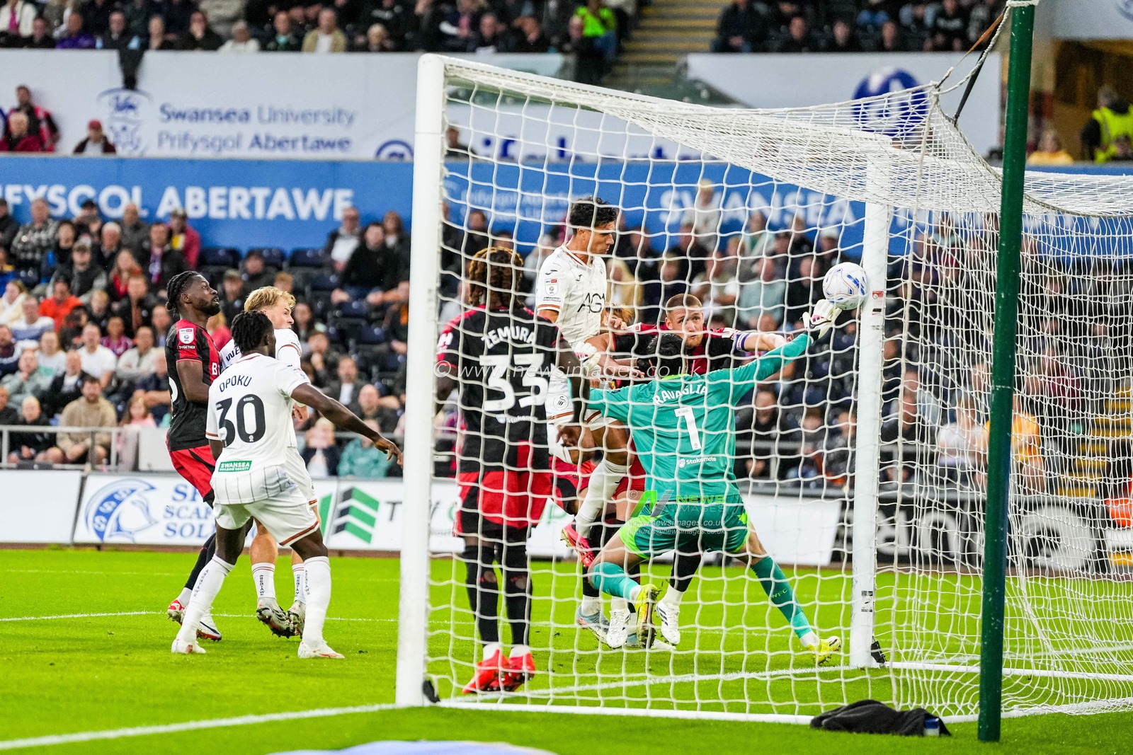 Sky Bet Championship: Swansea City v Watford