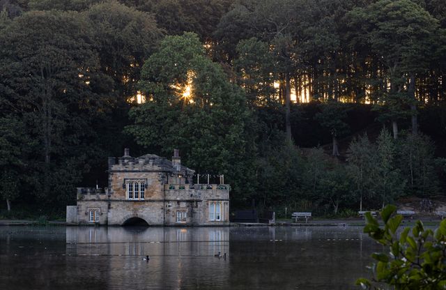 The sun bursts through the woodland at Newmillerdam Park, Wakefield, United Kingdom, 23rd September 2025

(Photo by Seth Rose/News Images)