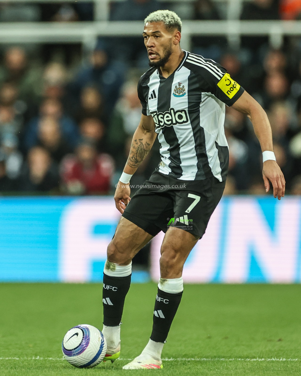 Joelinton of Newcastle United during the Premier League match Newcastle United vs Crystal Palace at St. James's Park, Newcastle, United Kingdom, 16th April 2025

(Photo by Mark Cosgrove/News Images)