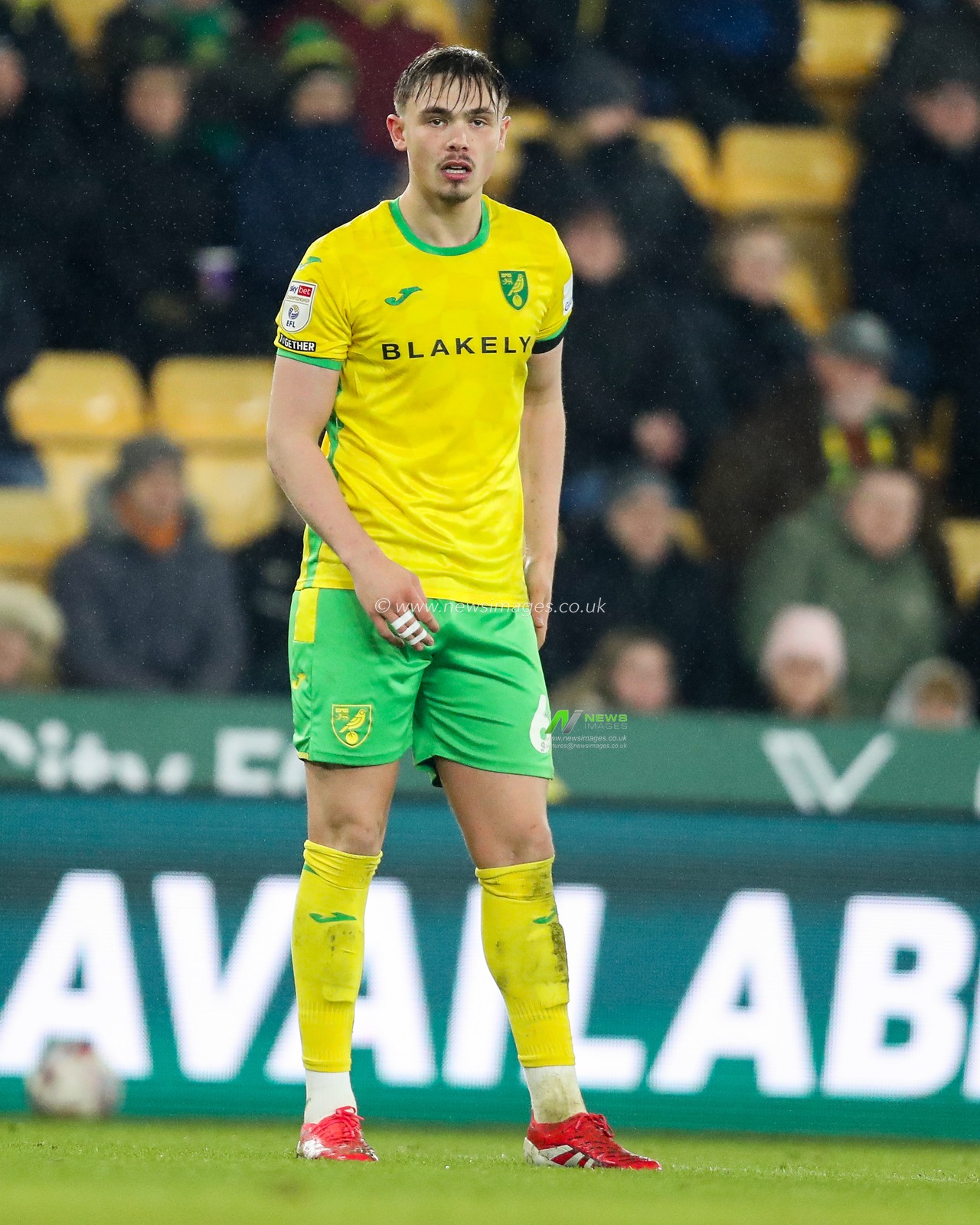 Callum Doyle of Norwich City looks on during the Sky Bet Championship match Norwich City vs Preston North End at Carrow Road, Norwich, United Kingdom, 11th February 2025

(Photo by Izzy Poles/News Images)