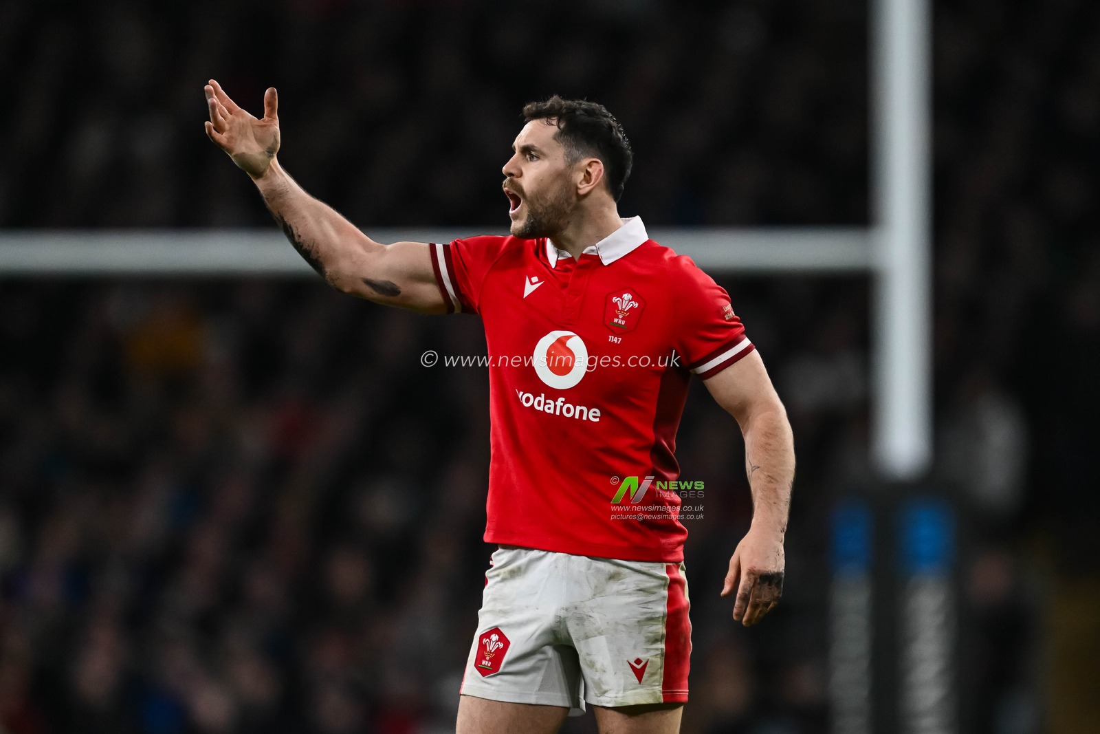 Tomos Williams of Wales gives his team instructions during the 2024 Guinness 6 Nations match England vs Wales at Twickenham Stadium, Twickenham, United Kingdom, 10th February 2024

(Photo by Craig Thomas/News Images)