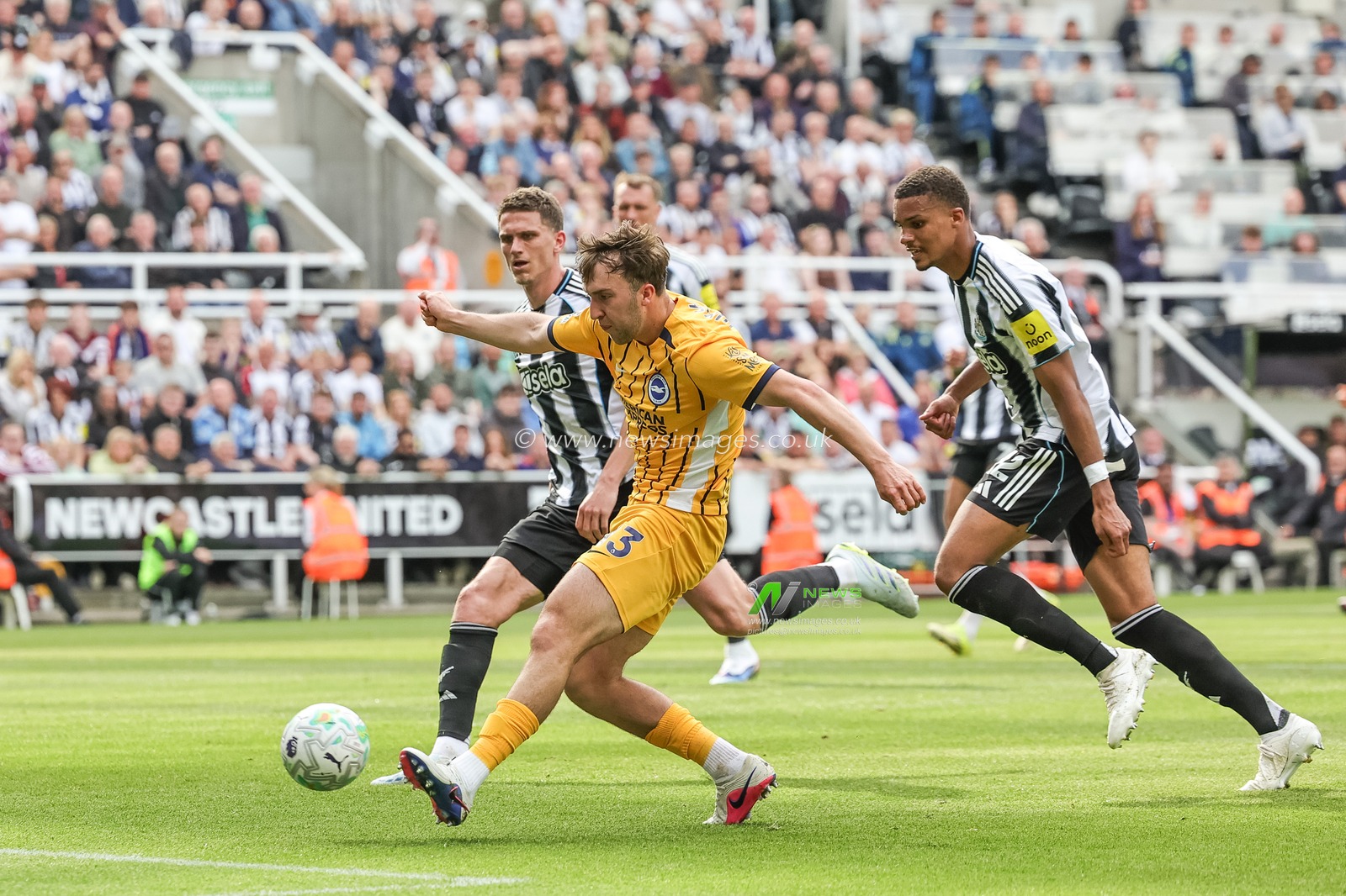 Jack Hinshelwood of Brighton & Hove Albion scores to make it 2-1 during the Premier League match Newcastle Untied vs Brighton & Hove Albion at St. James's Park, Newcastle, United Kingdom on 02 May 2026

(Photo by Mark Cosgrove/News Images)