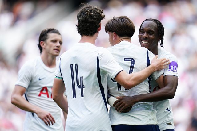 pre-season friendly: Tottenham Hotspur v Hoffenheim